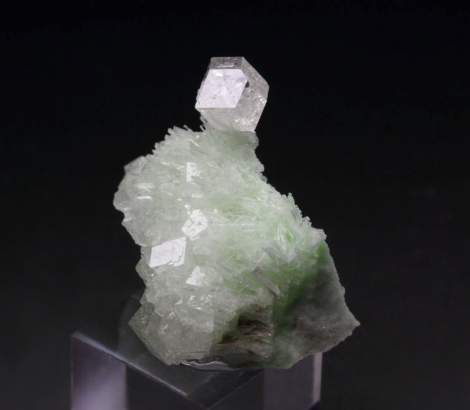 colorless gem GARNET var. GROSSULAR, DIOPSIDE