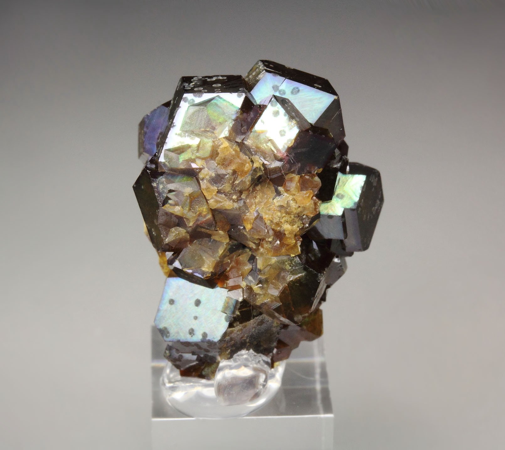 iridescent rainbow GARNET var. ANDRADITE