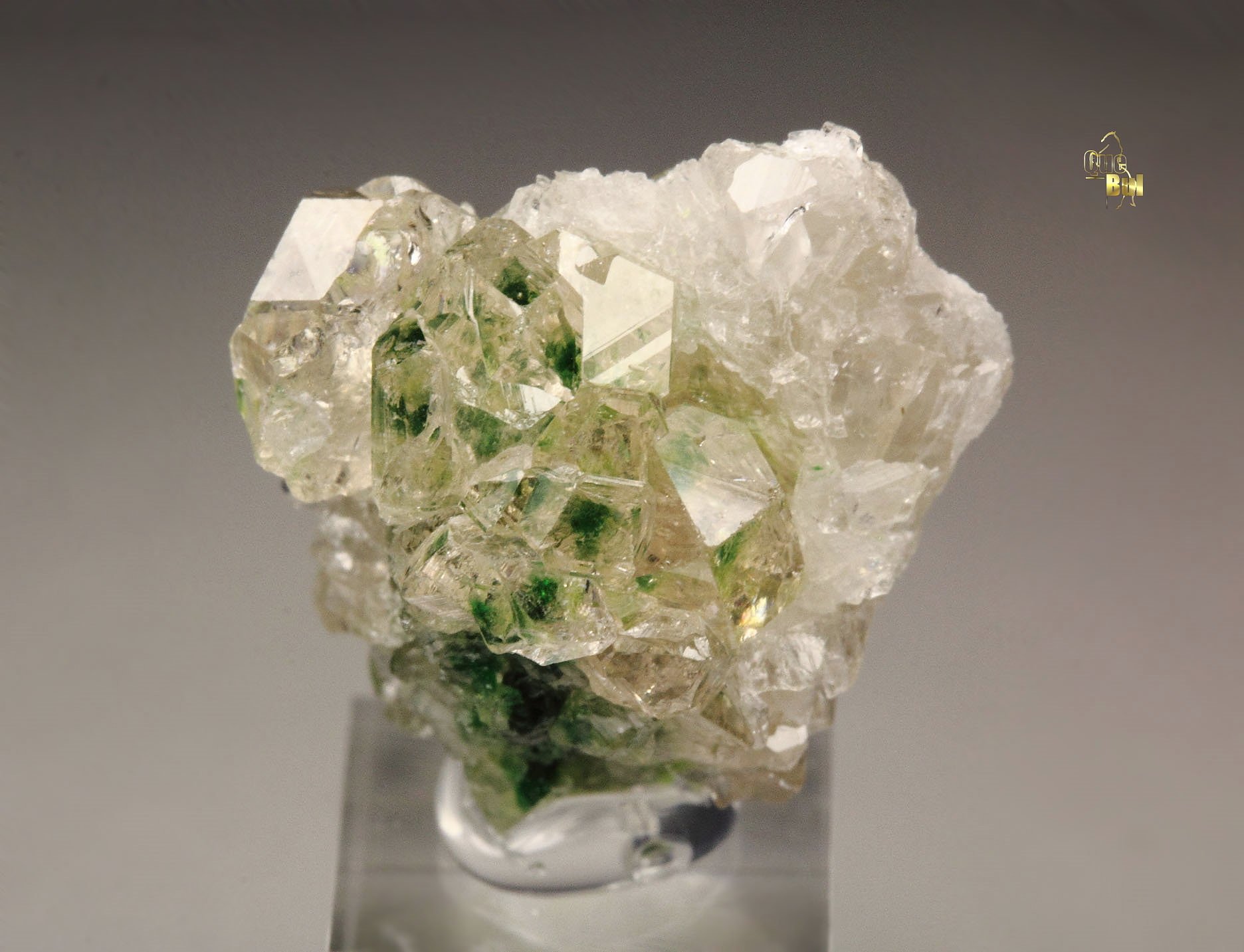 gem GARNET var. GROSSULAR with GREEN CHROMIAN PHANTOMS