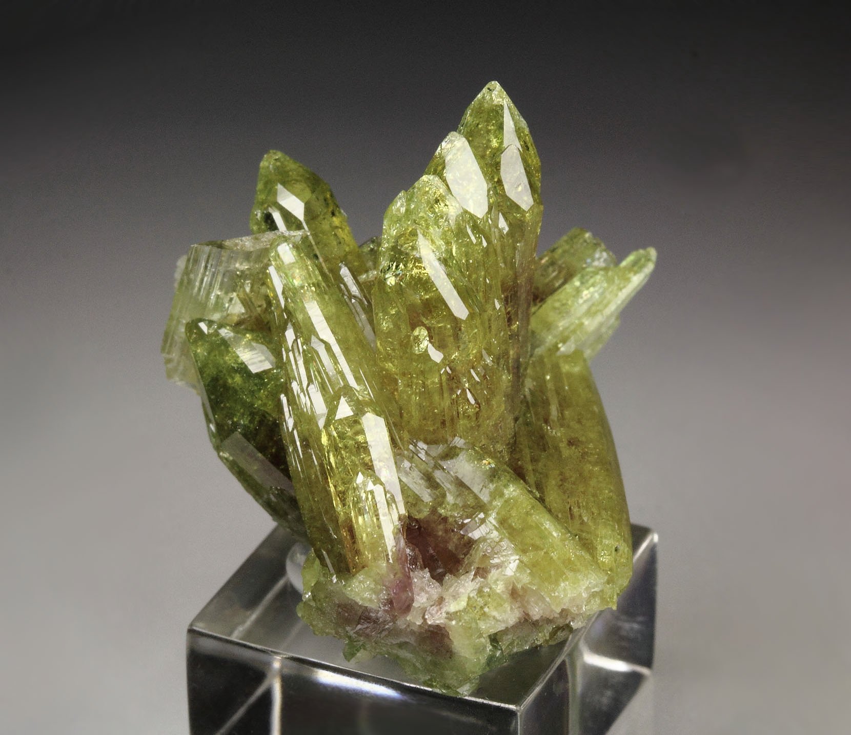 gem VESUVIANITE, DIOPSIDE