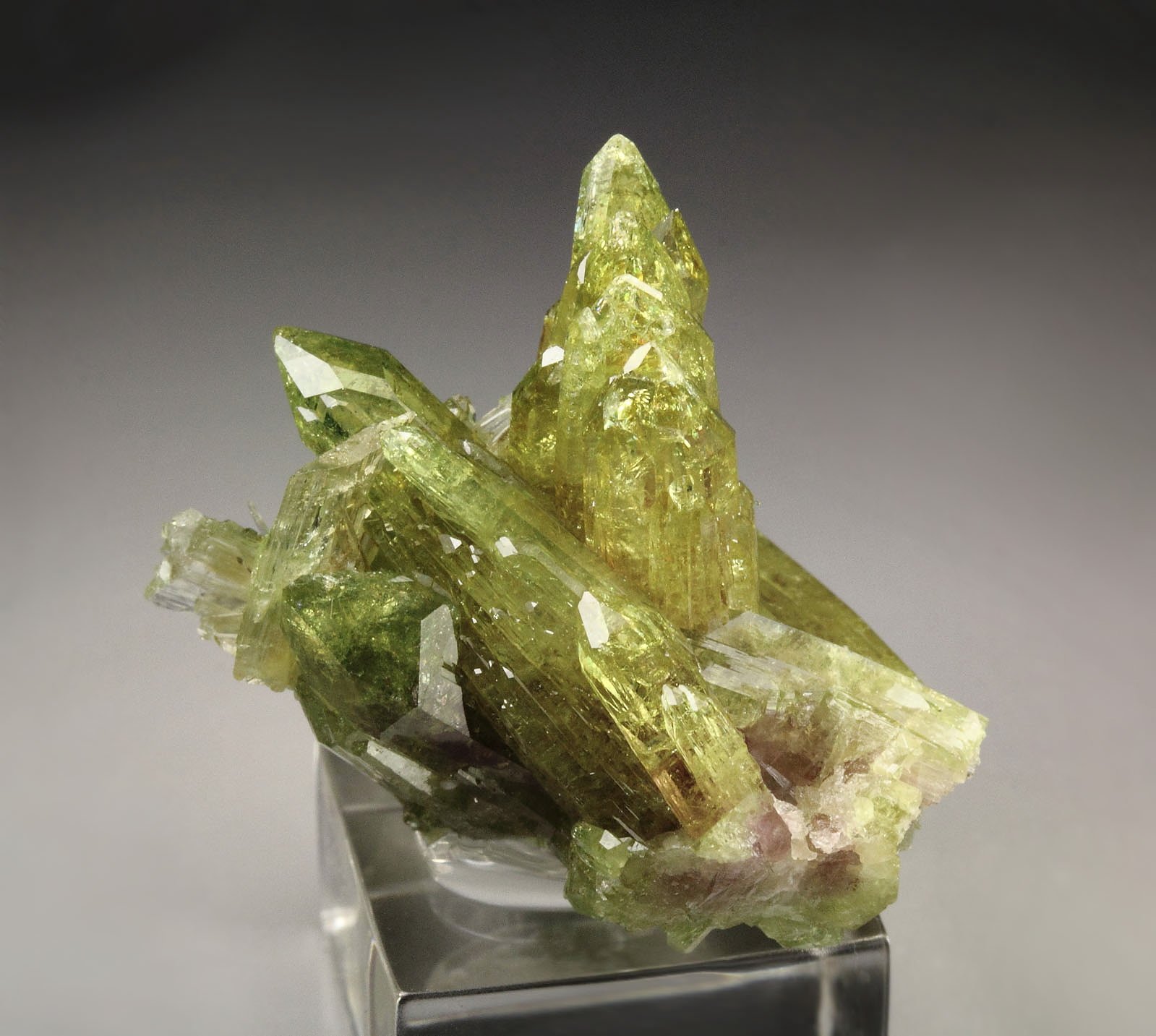 gem VESUVIANITE, DIOPSIDE