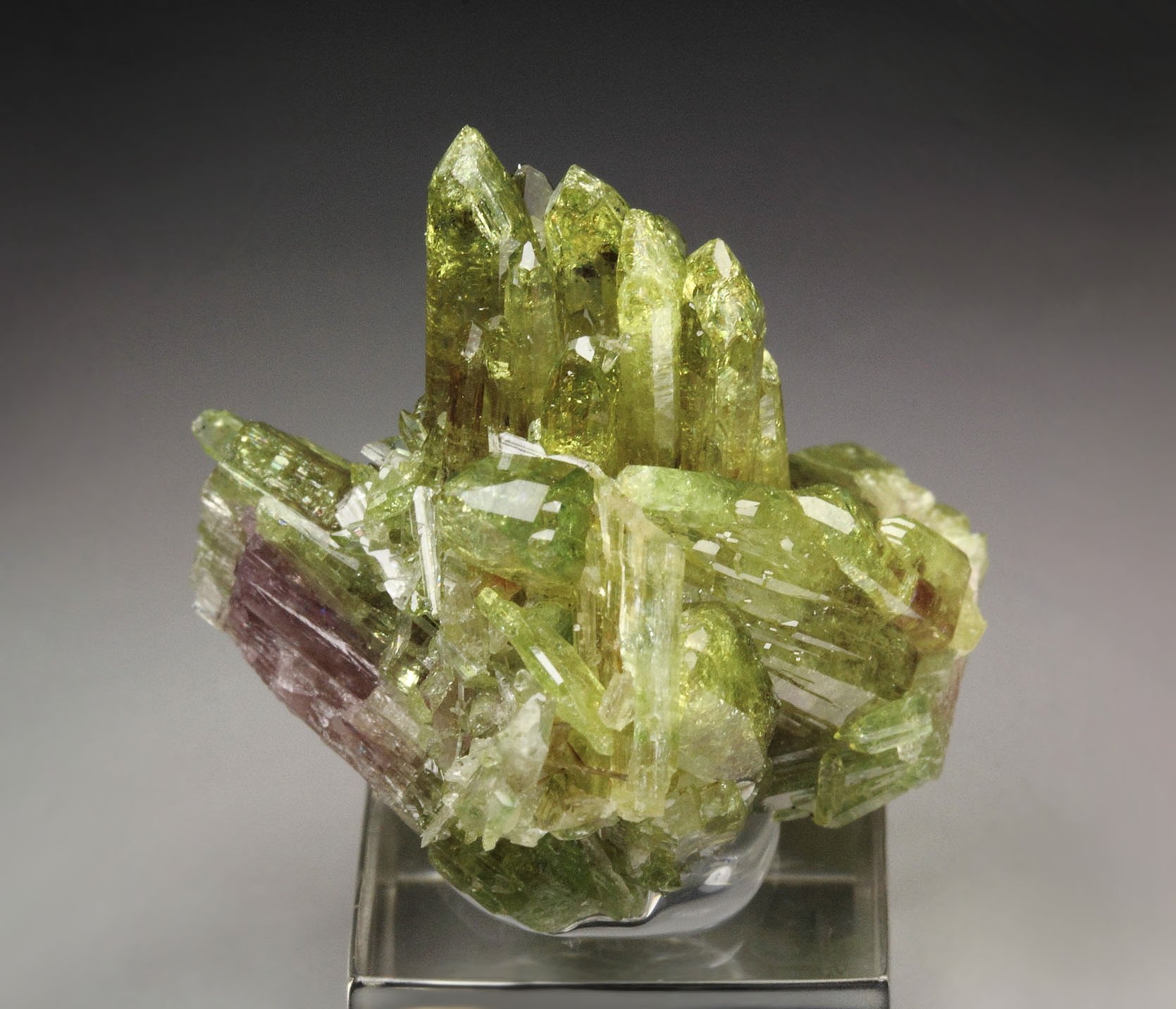 gem VESUVIANITE, DIOPSIDE