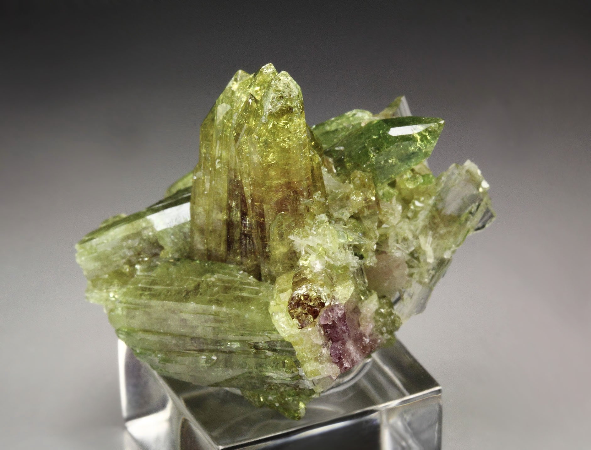 gem VESUVIANITE, DIOPSIDE