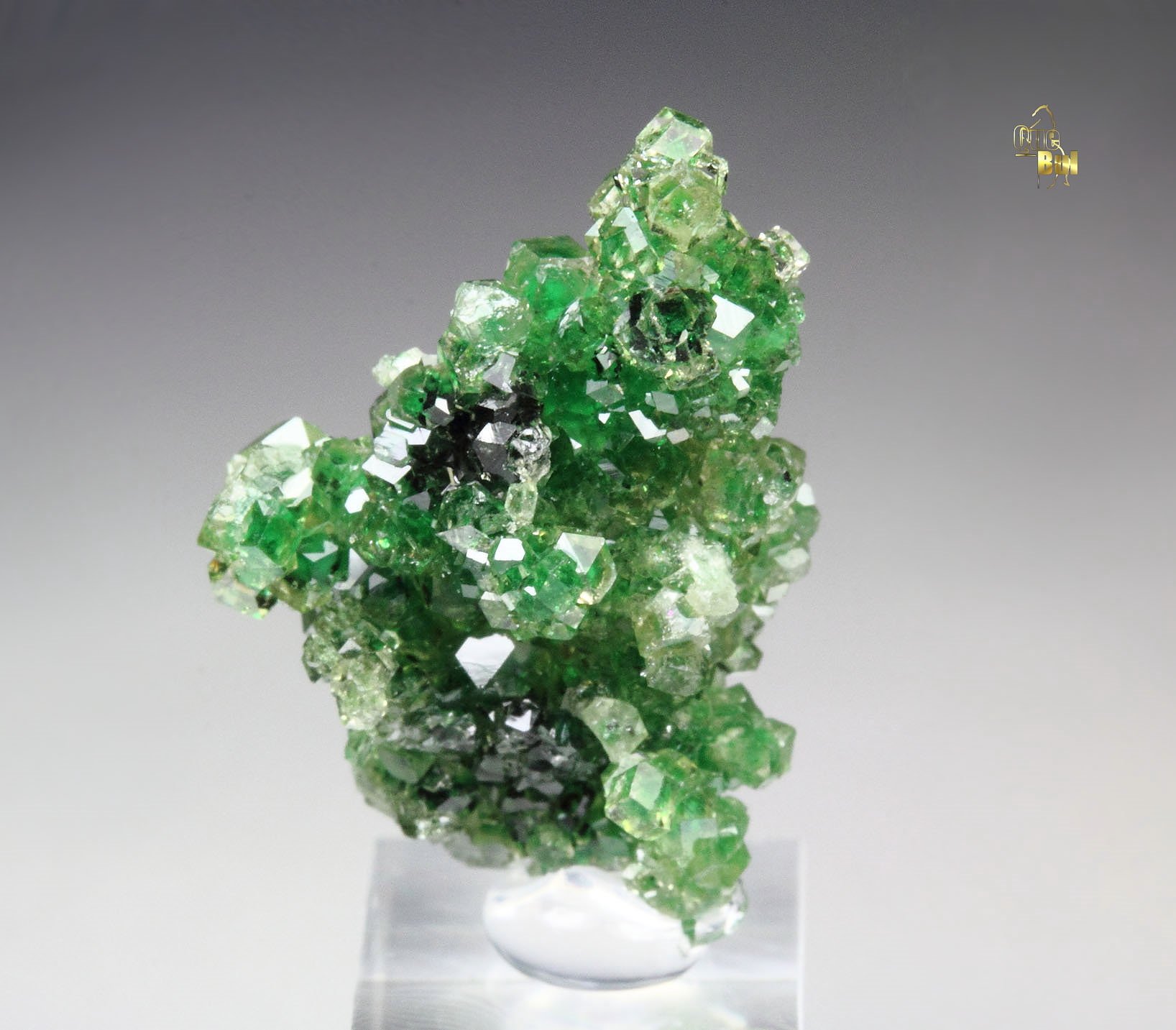 gem GARNET var. GROSSULAR with GREEN CHROMIAN PHANTOMS, CHROMITE