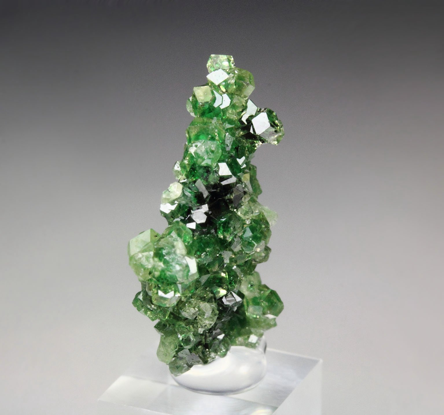 gem GARNET var. GROSSULAR with GREEN CHROMIAN PHANTOMS, CHROMITE