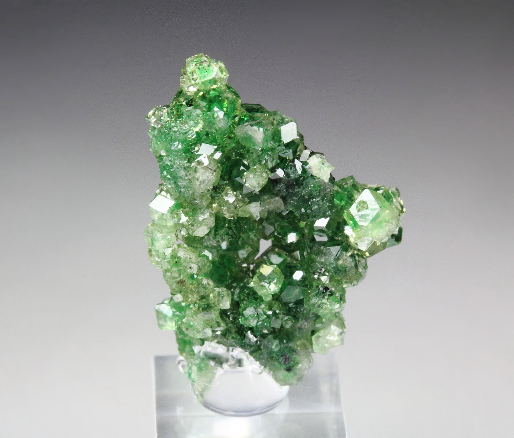 gem GARNET var. GROSSULAR with GREEN CHROMIAN PHANTOMS, CHROMITE