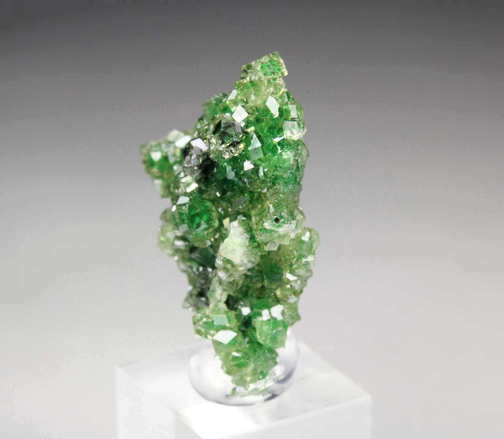 gem GARNET var. GROSSULAR with GREEN CHROMIAN PHANTOMS, CHROMITE