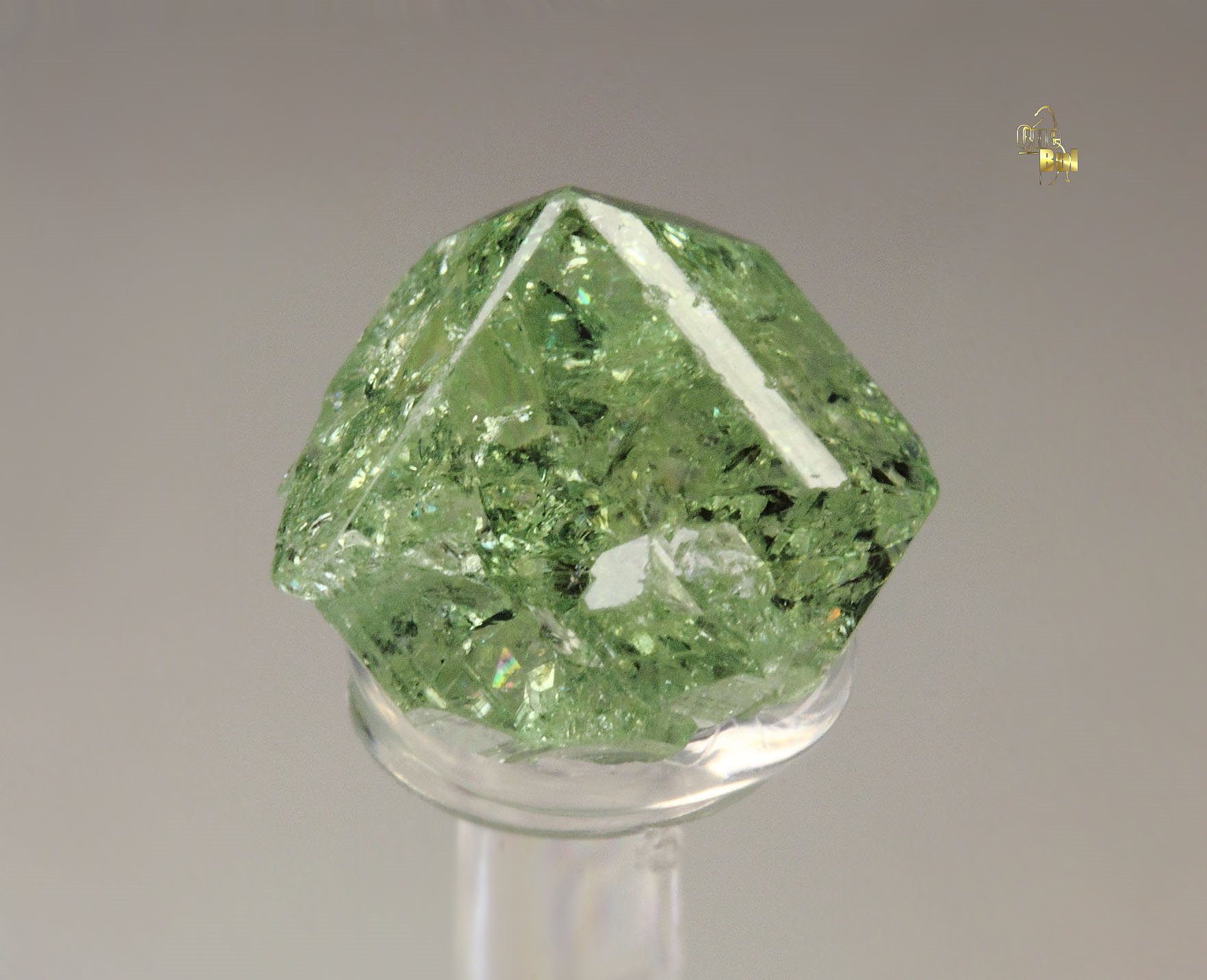 gem GARNET var. GROSSULAR var. TSAVORITE