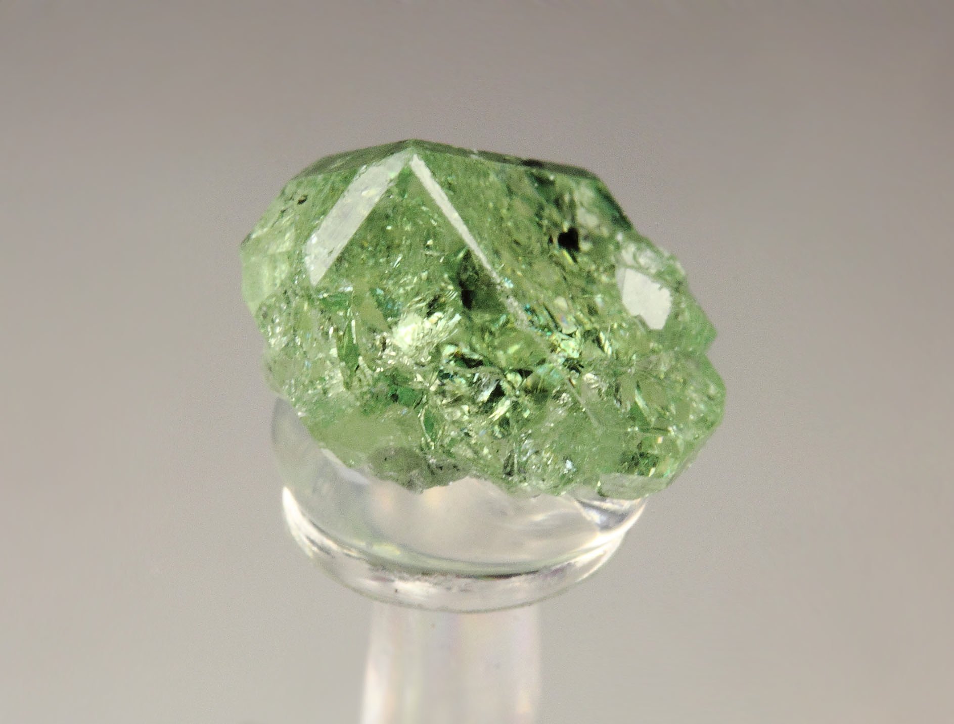 gem GARNET var. GROSSULAR var. TSAVORITE