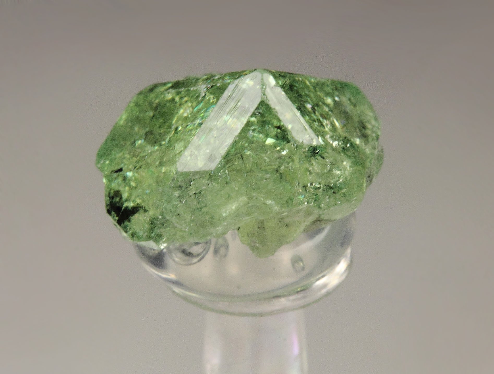 gem GARNET var. GROSSULAR var. TSAVORITE