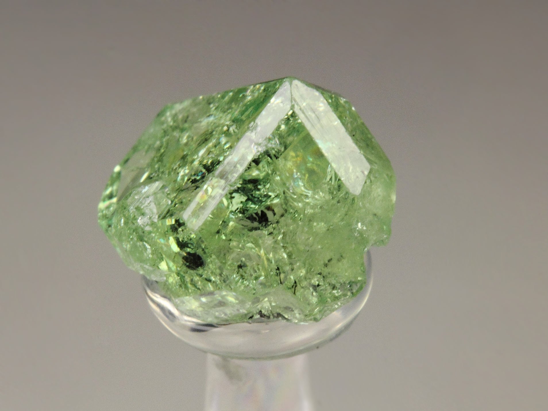 gem GARNET var. GROSSULAR var. TSAVORITE