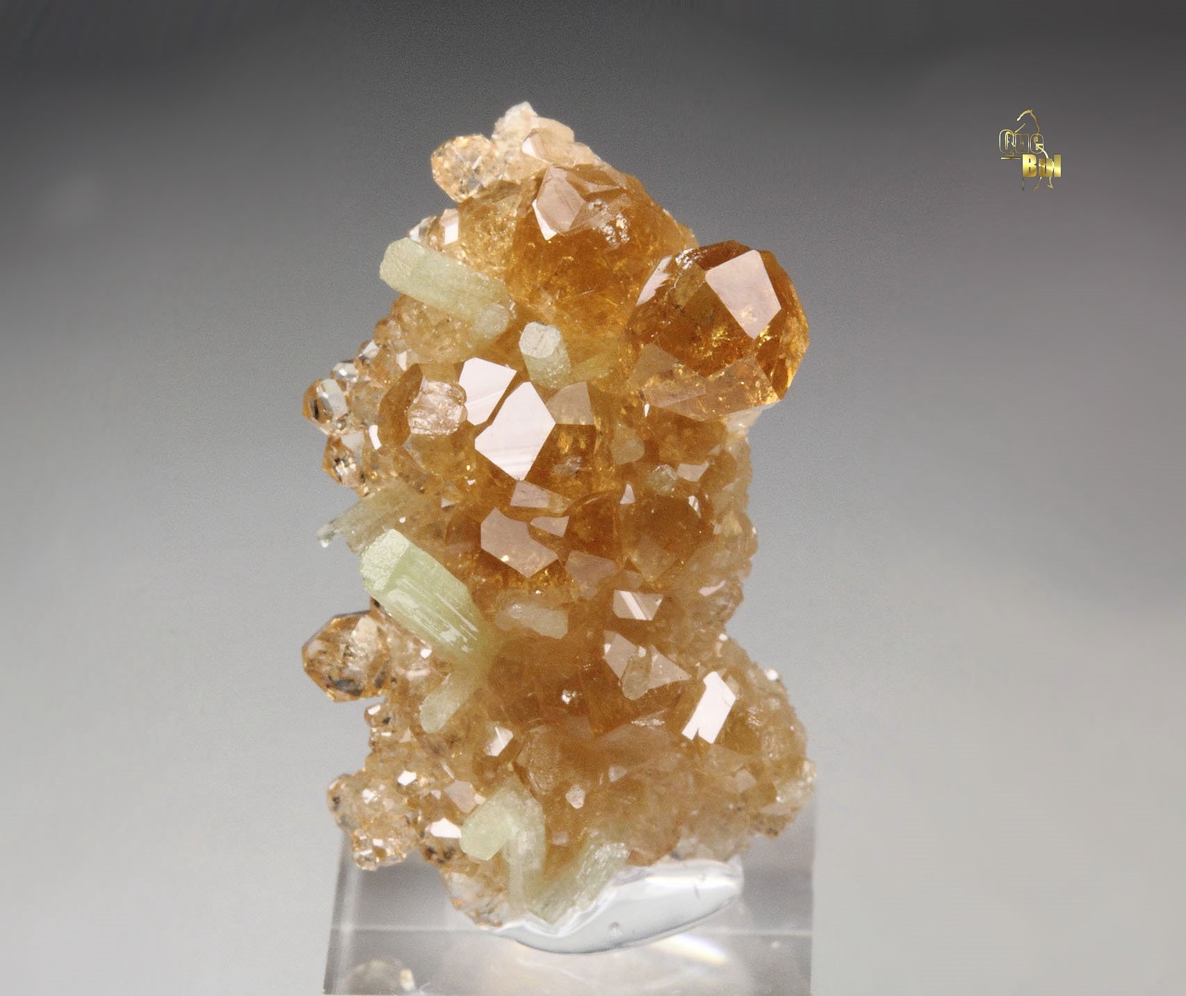 gem GARNET var. GROSSULAR, DIOPSIDE