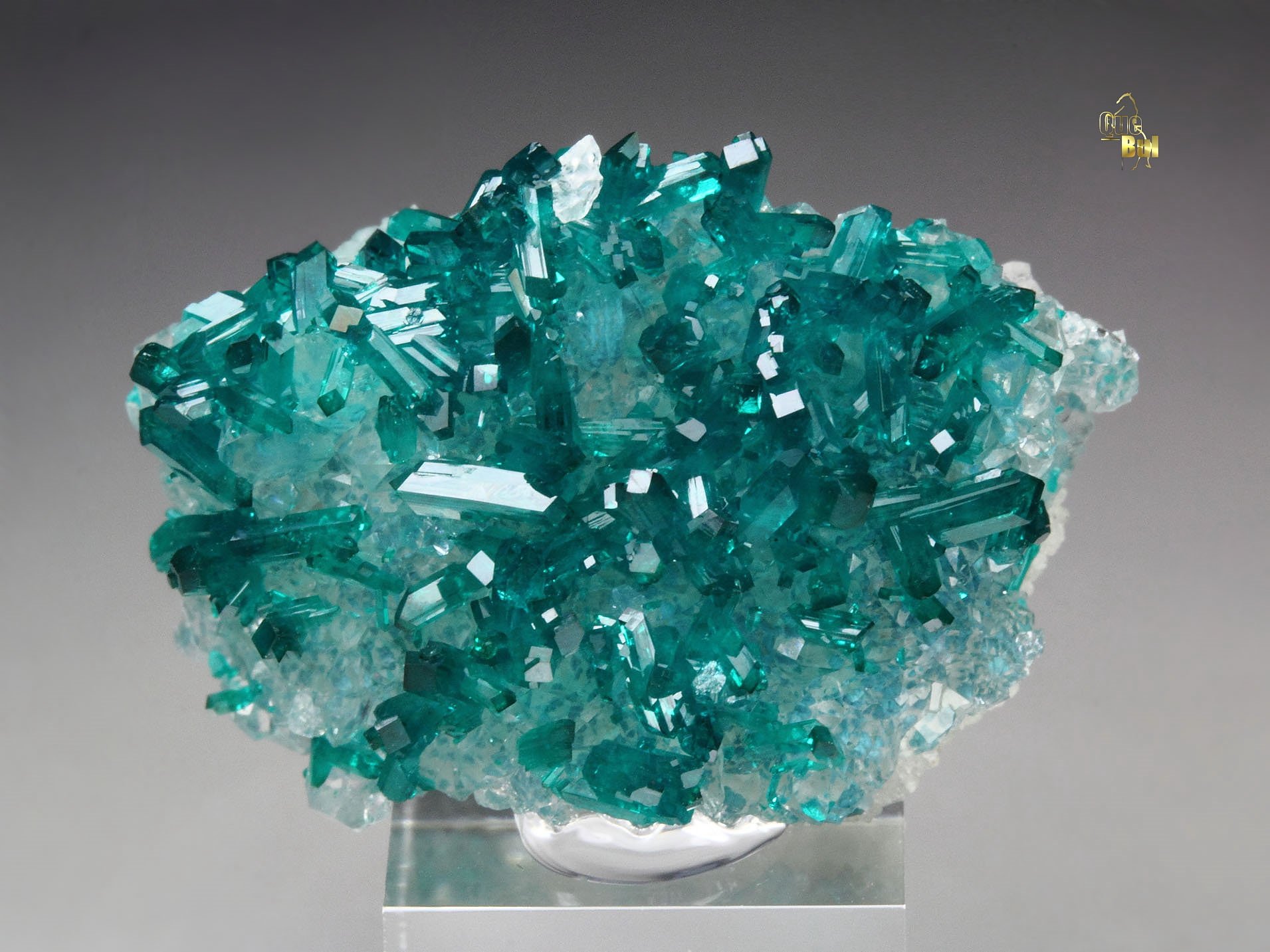 gemmy DIOPTASE, QUARTZ, SHATTUCKITE