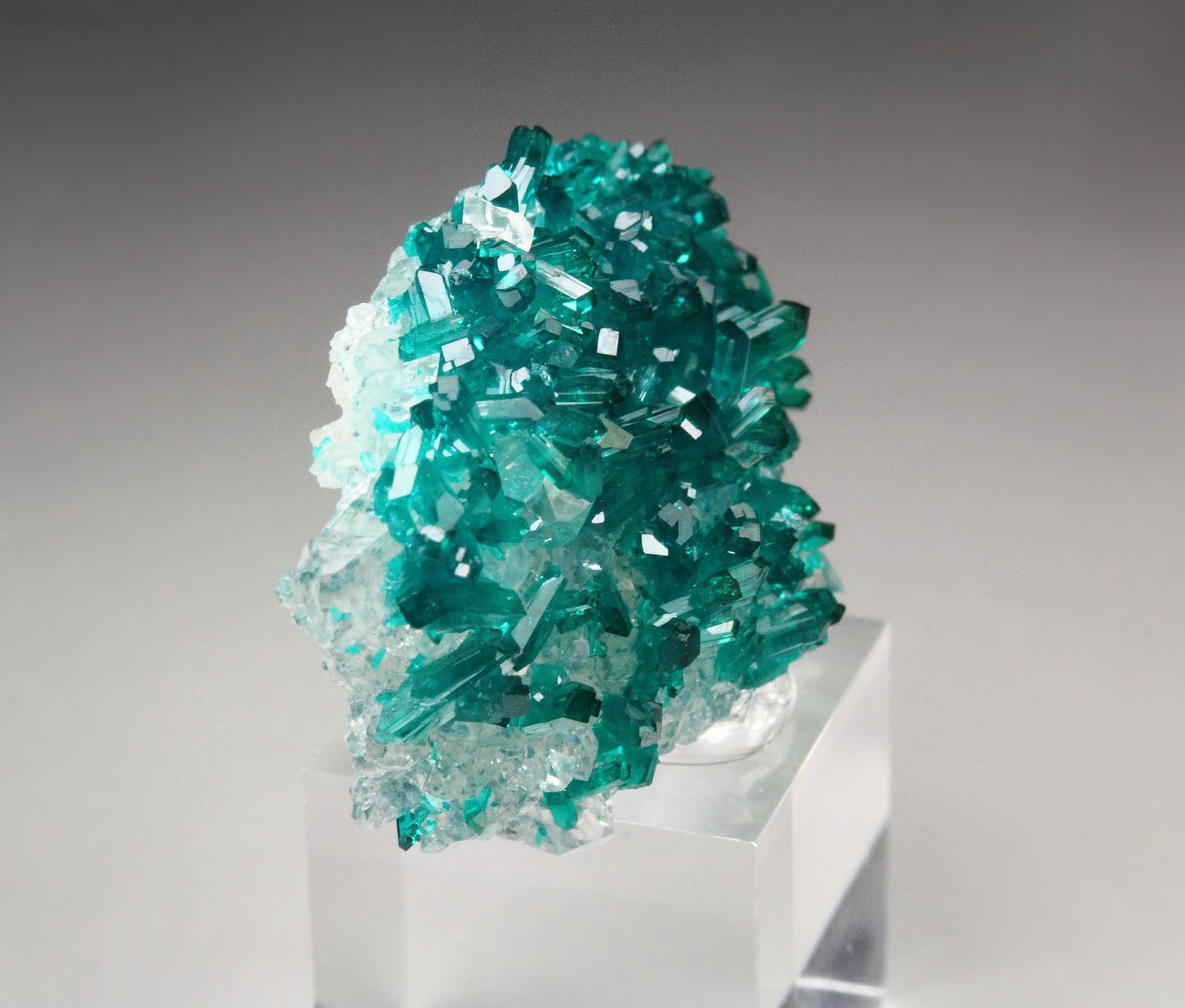 gemmy DIOPTASE, QUARTZ, SHATTUCKITE