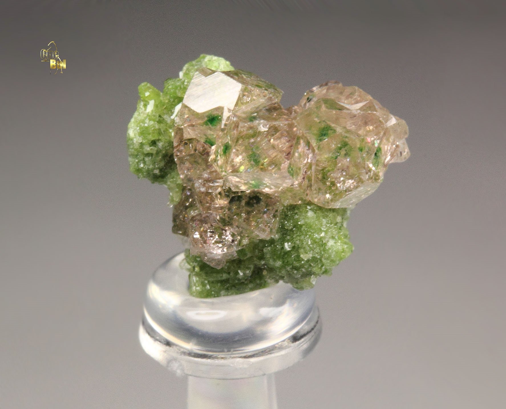 gem PINK GARNET var. GROSSULAR with GREEN CHROMIAN PHANTOMS, DIOPSIDE