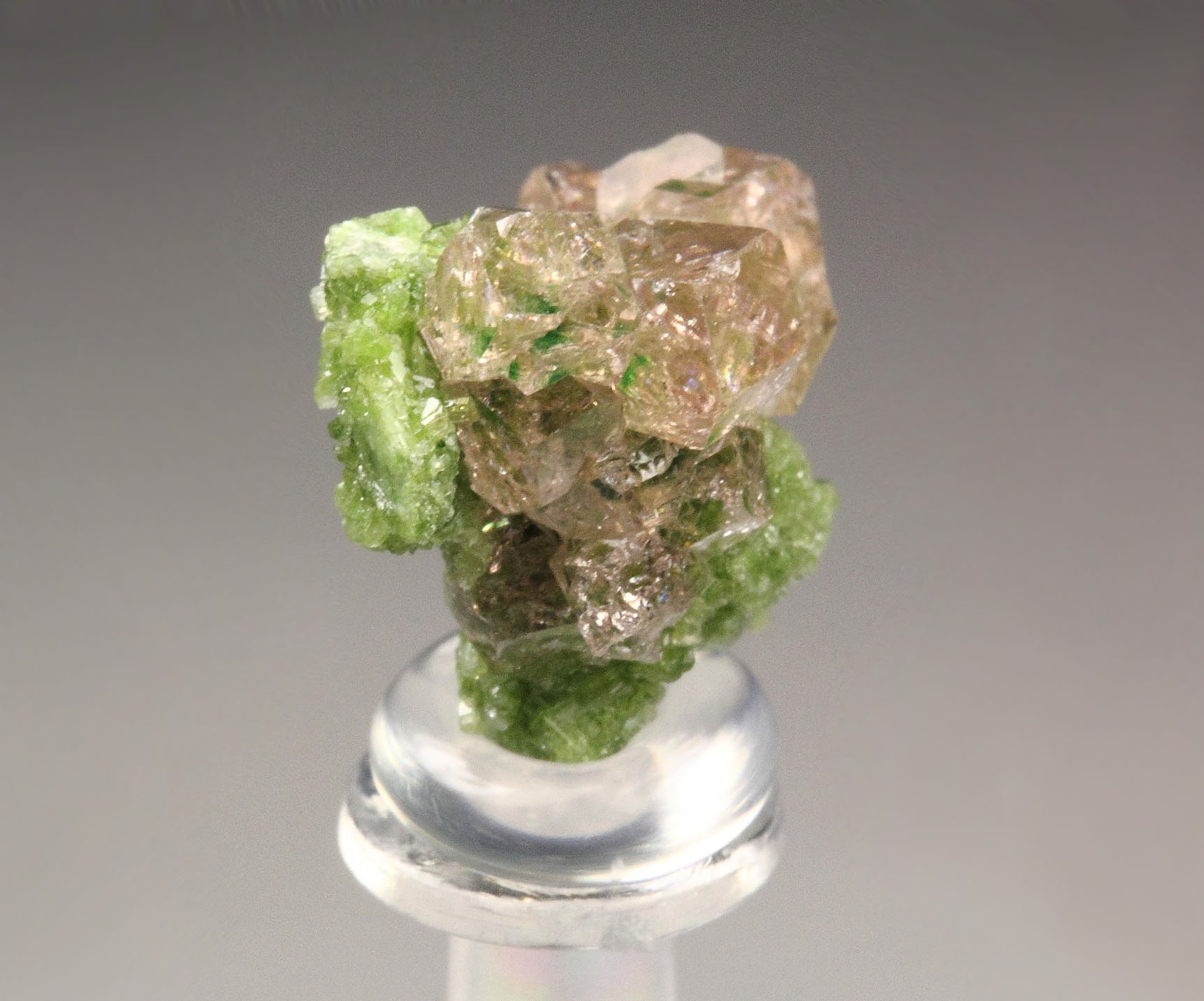 gem PINK GARNET var. GROSSULAR with GREEN CHROMIAN PHANTOMS, DIOPSIDE