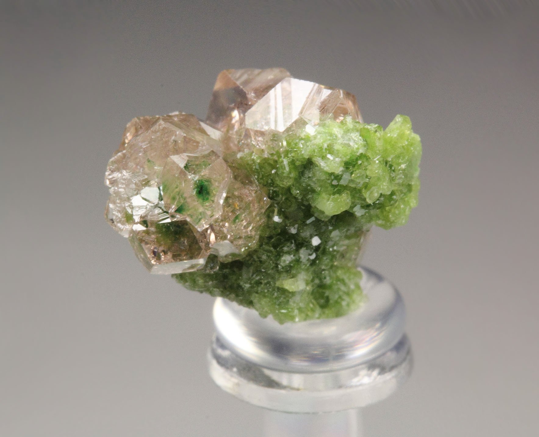 gem PINK GARNET var. GROSSULAR with GREEN CHROMIAN PHANTOMS, DIOPSIDE