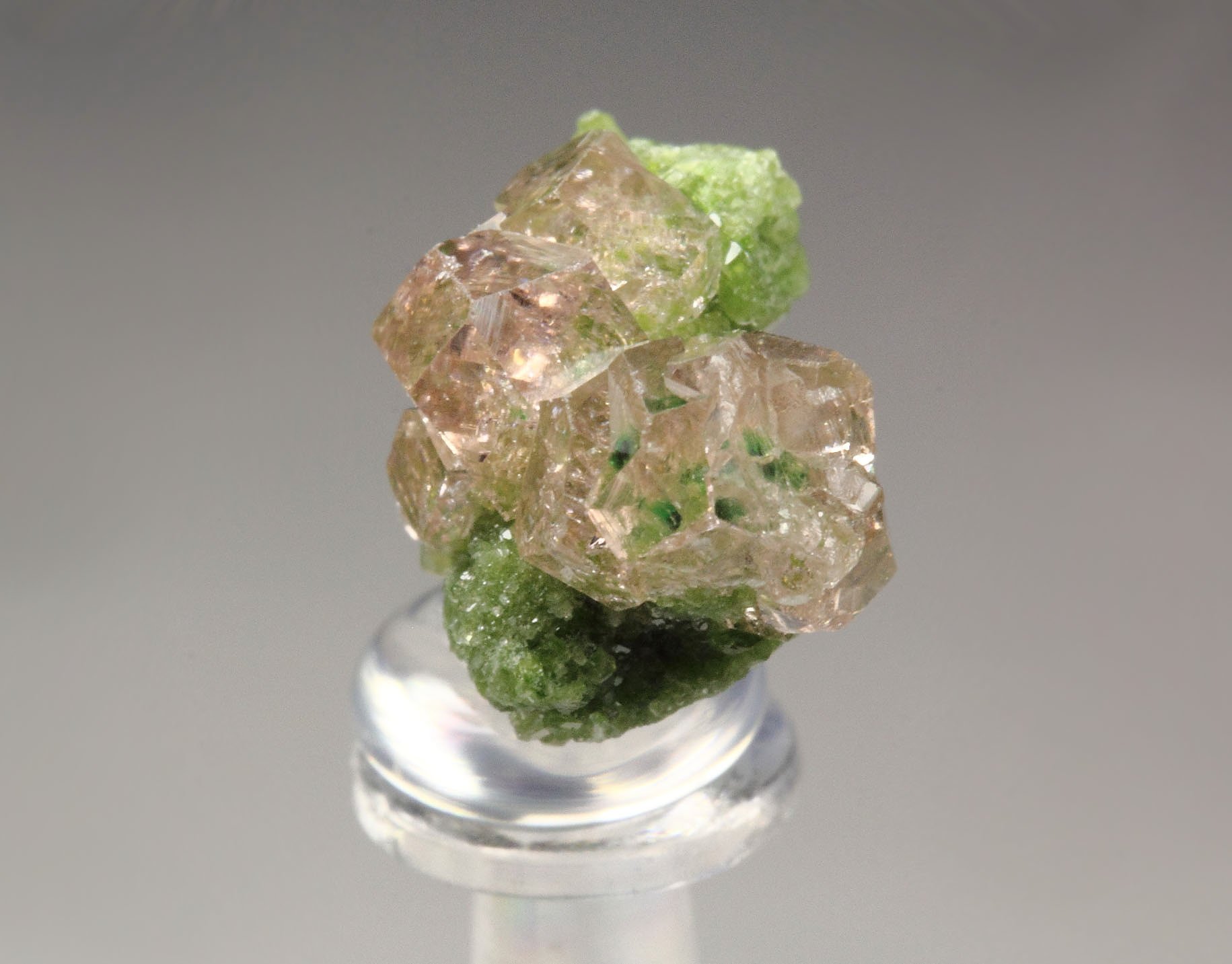 gem PINK GARNET var. GROSSULAR with GREEN CHROMIAN PHANTOMS, DIOPSIDE