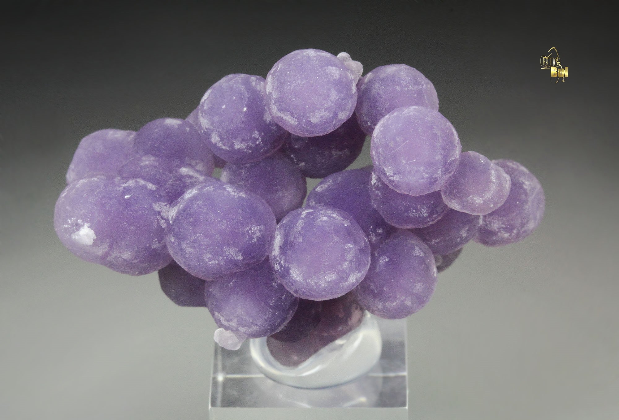 QUARTZ var. AMETHYST - grape agate