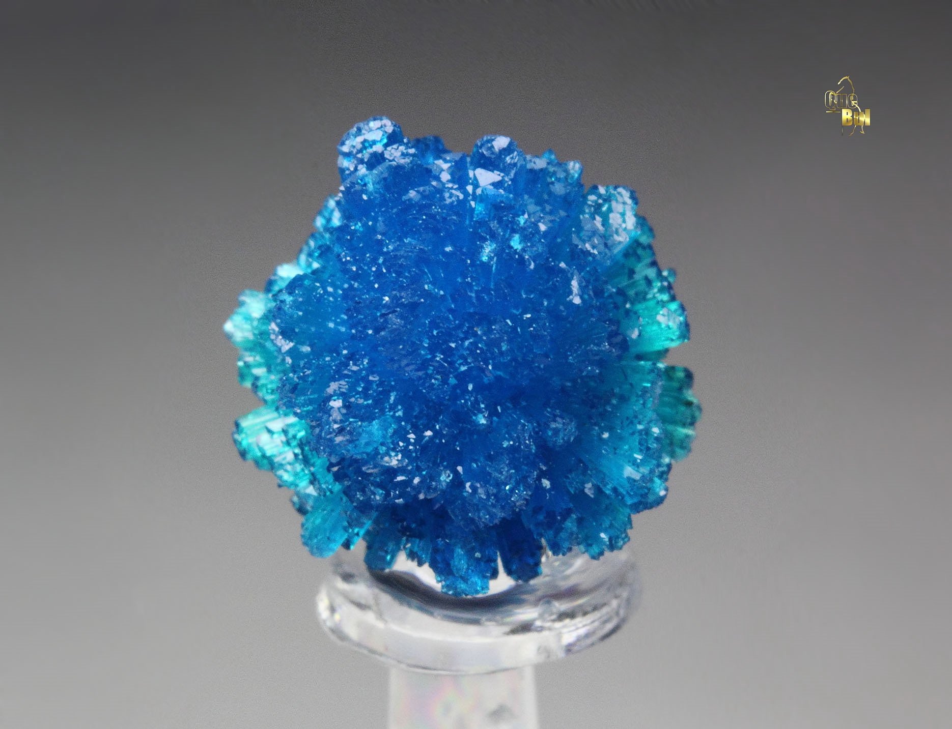 CAVANSITE