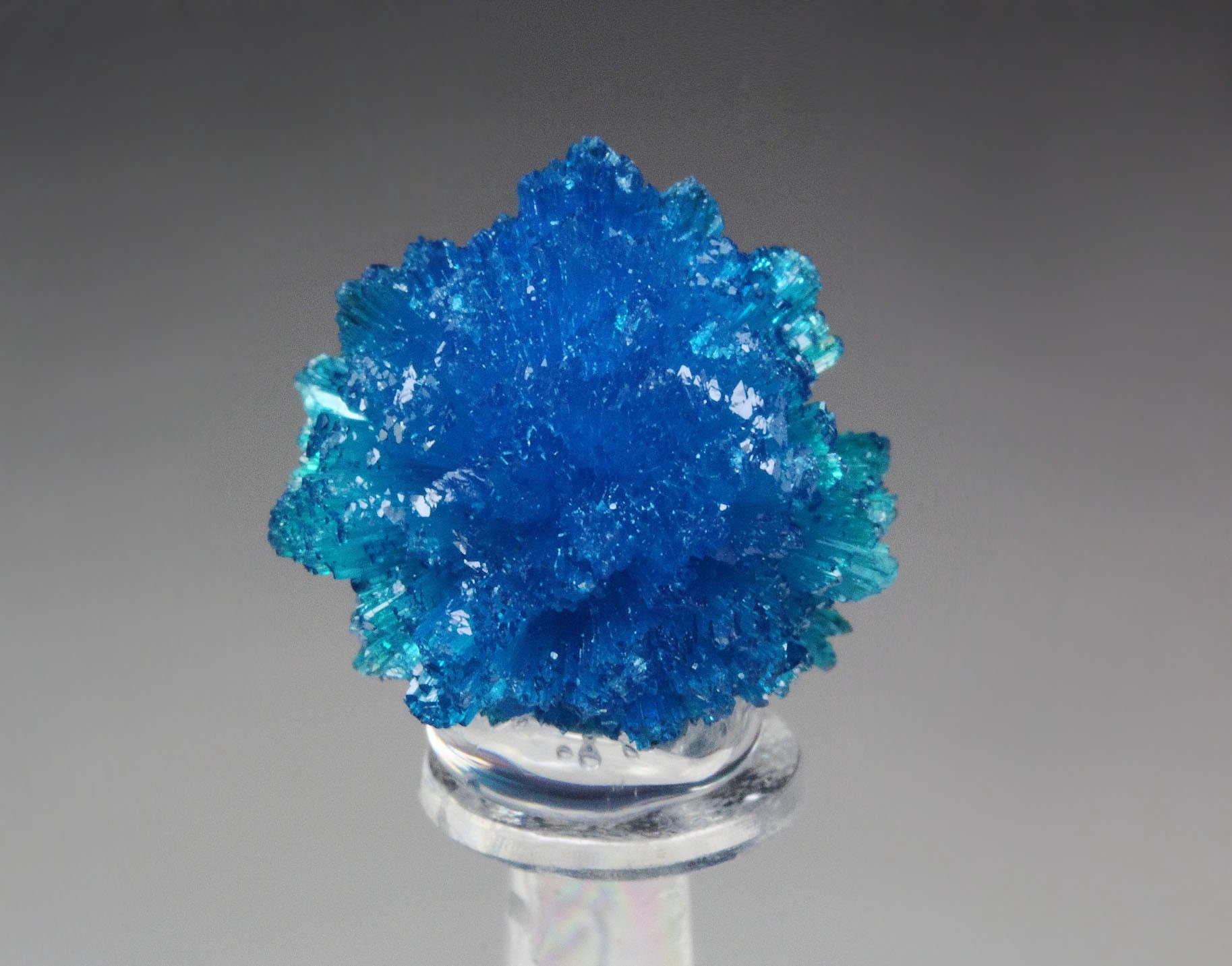 CAVANSITE