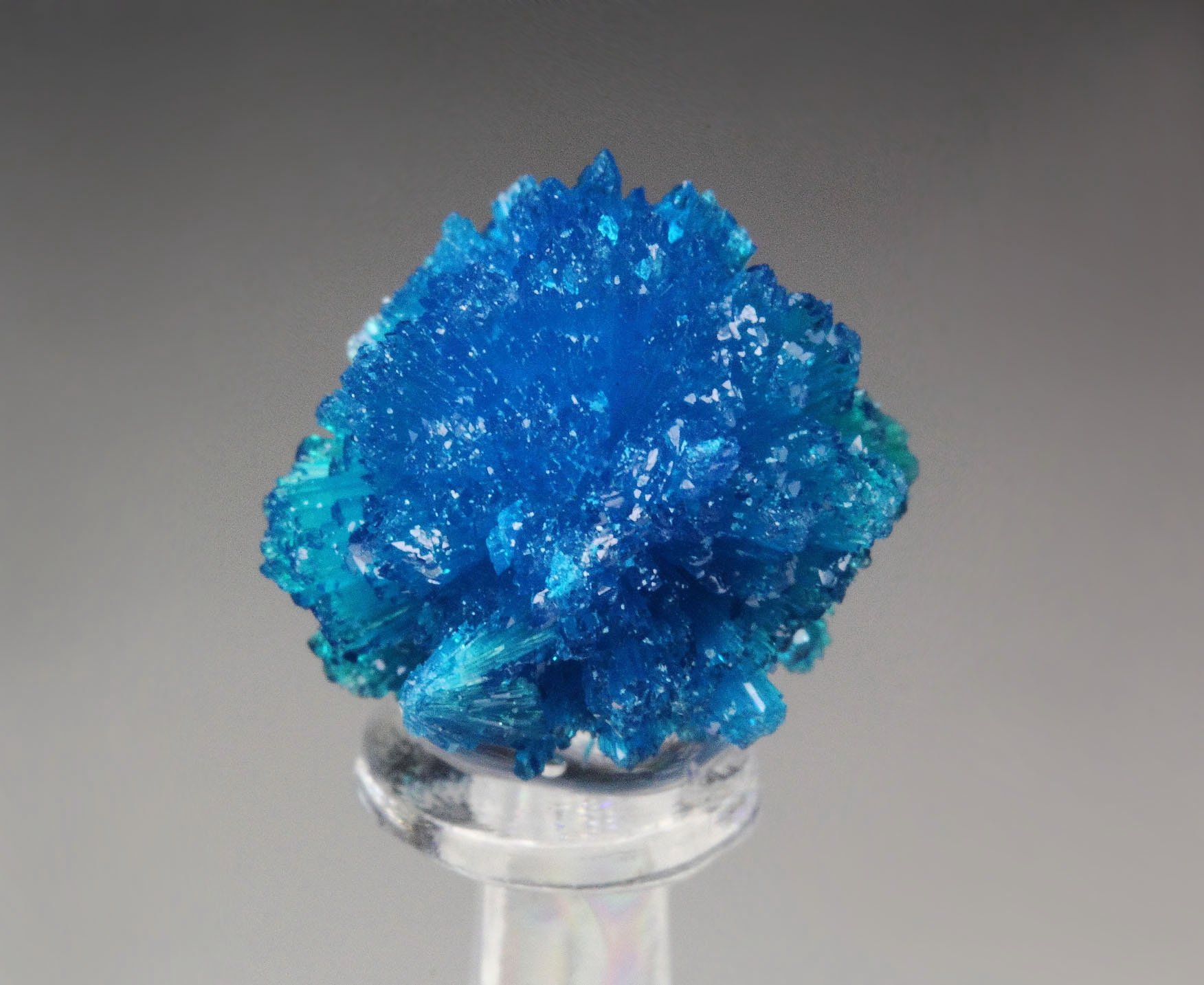 CAVANSITE