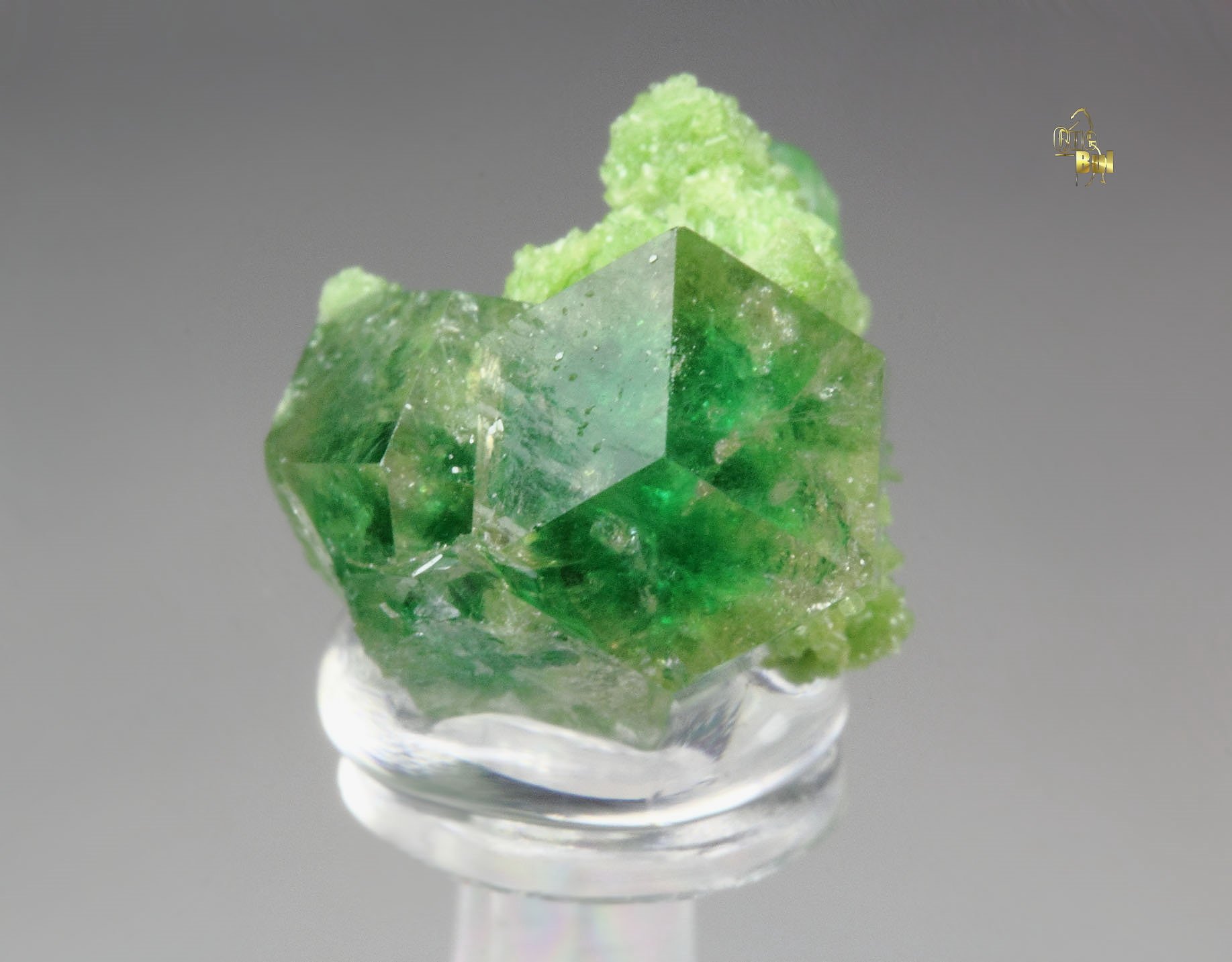 gem GARNET var. GROSSULAR with GREEN CHROMIAN PHANTOMS. DIOPSIDE