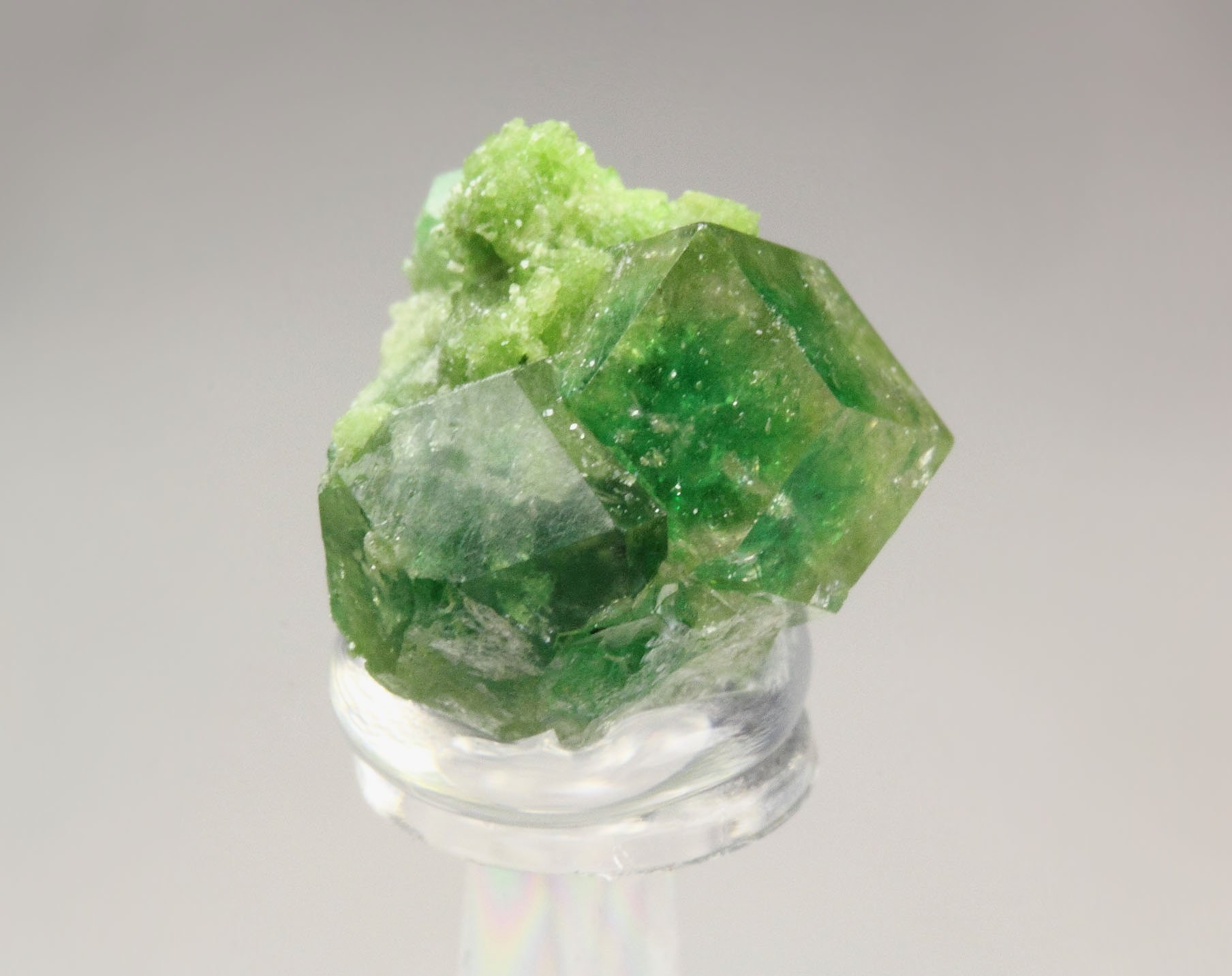 gem GARNET var. GROSSULAR with GREEN CHROMIAN PHANTOMS. DIOPSIDE