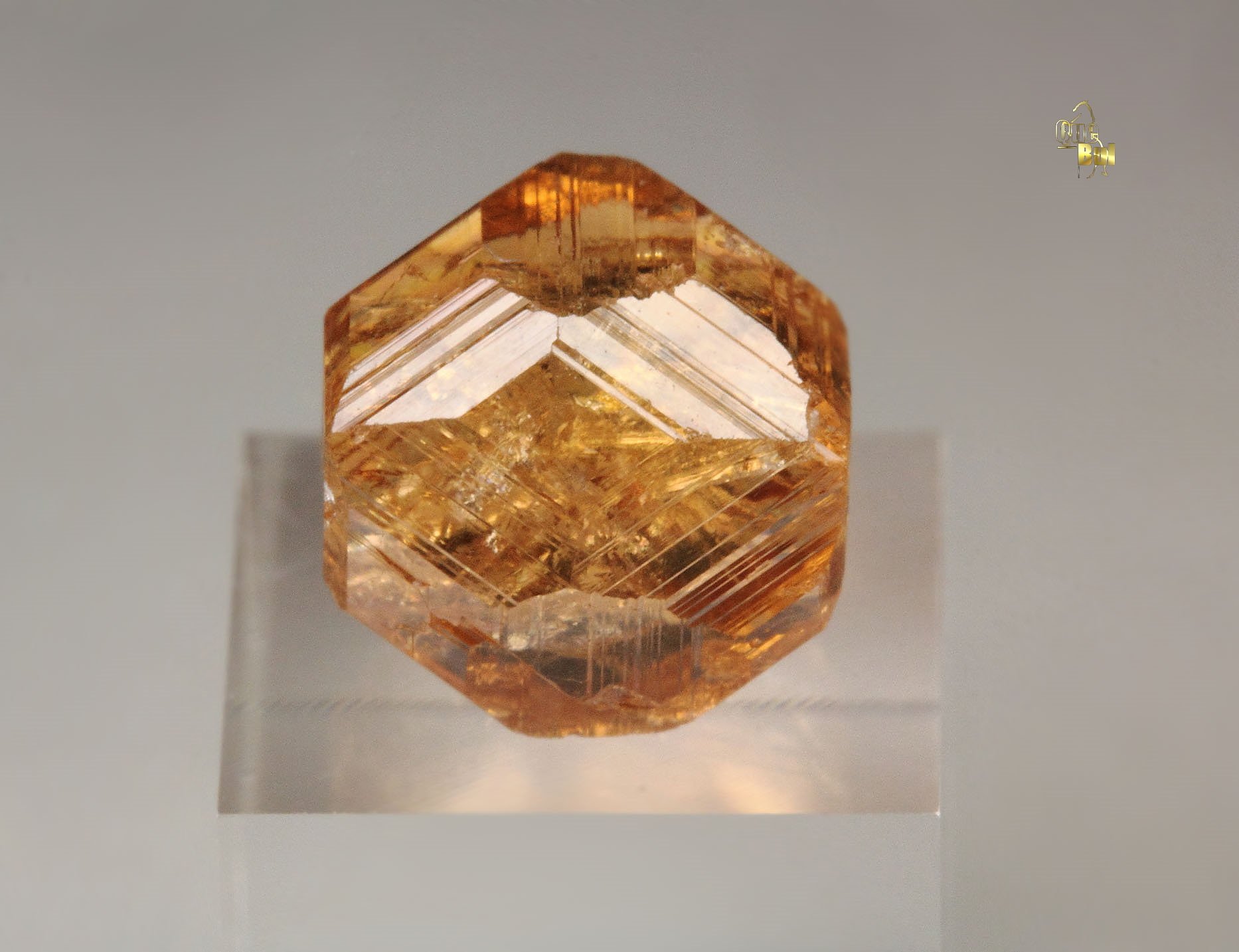 gem GARNET var. GROSSULAR