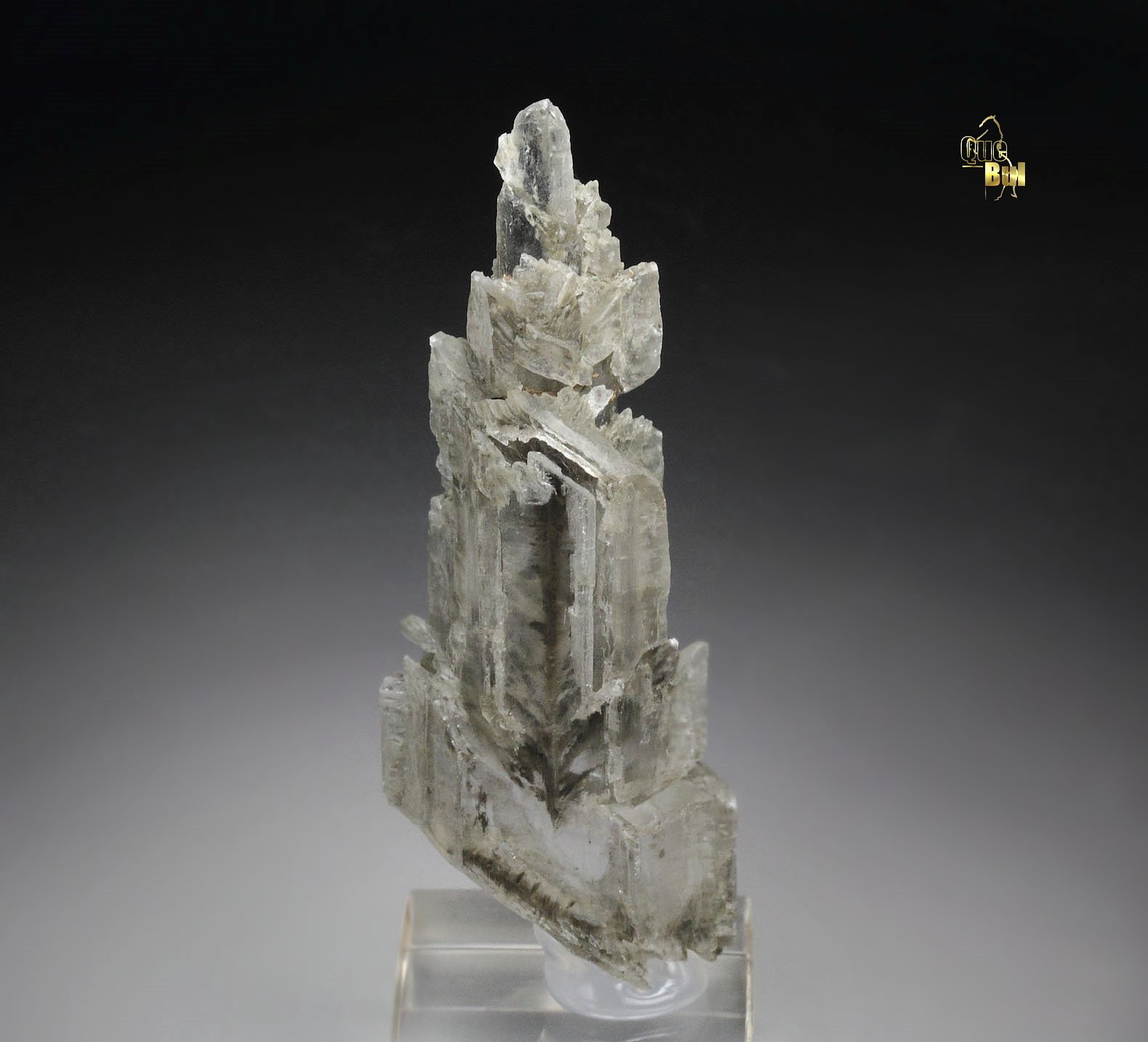 GYPSUM twinned