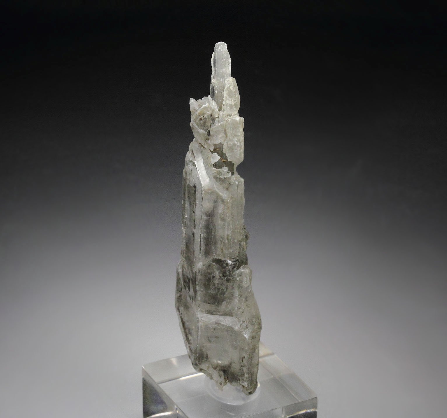 GYPSUM twinned