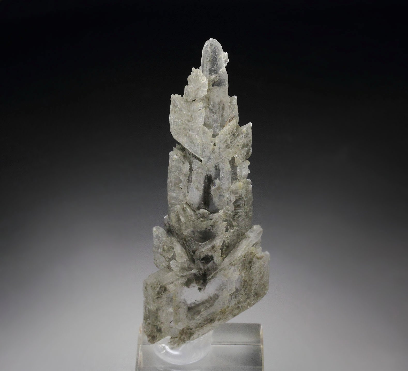 GYPSUM twinned
