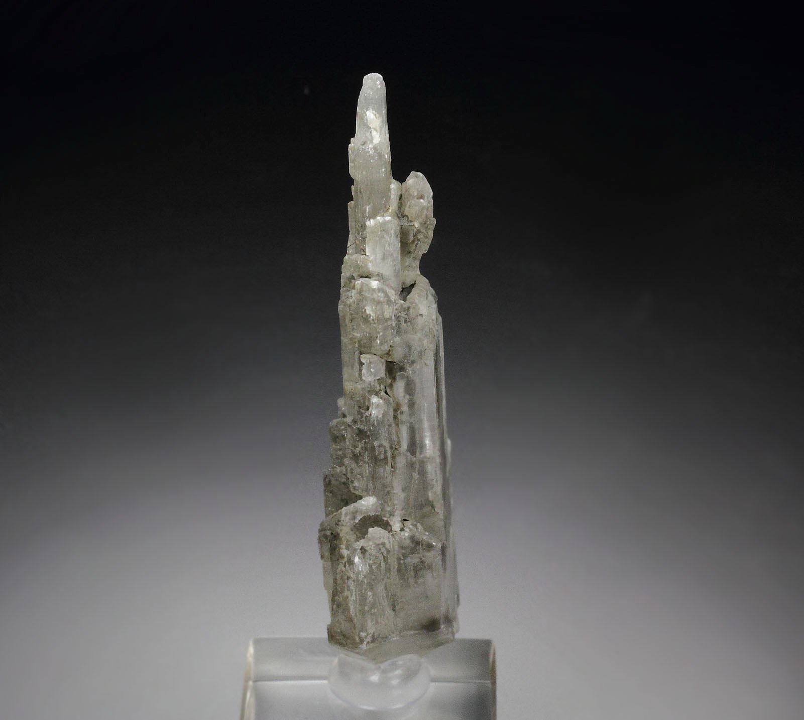 GYPSUM twinned