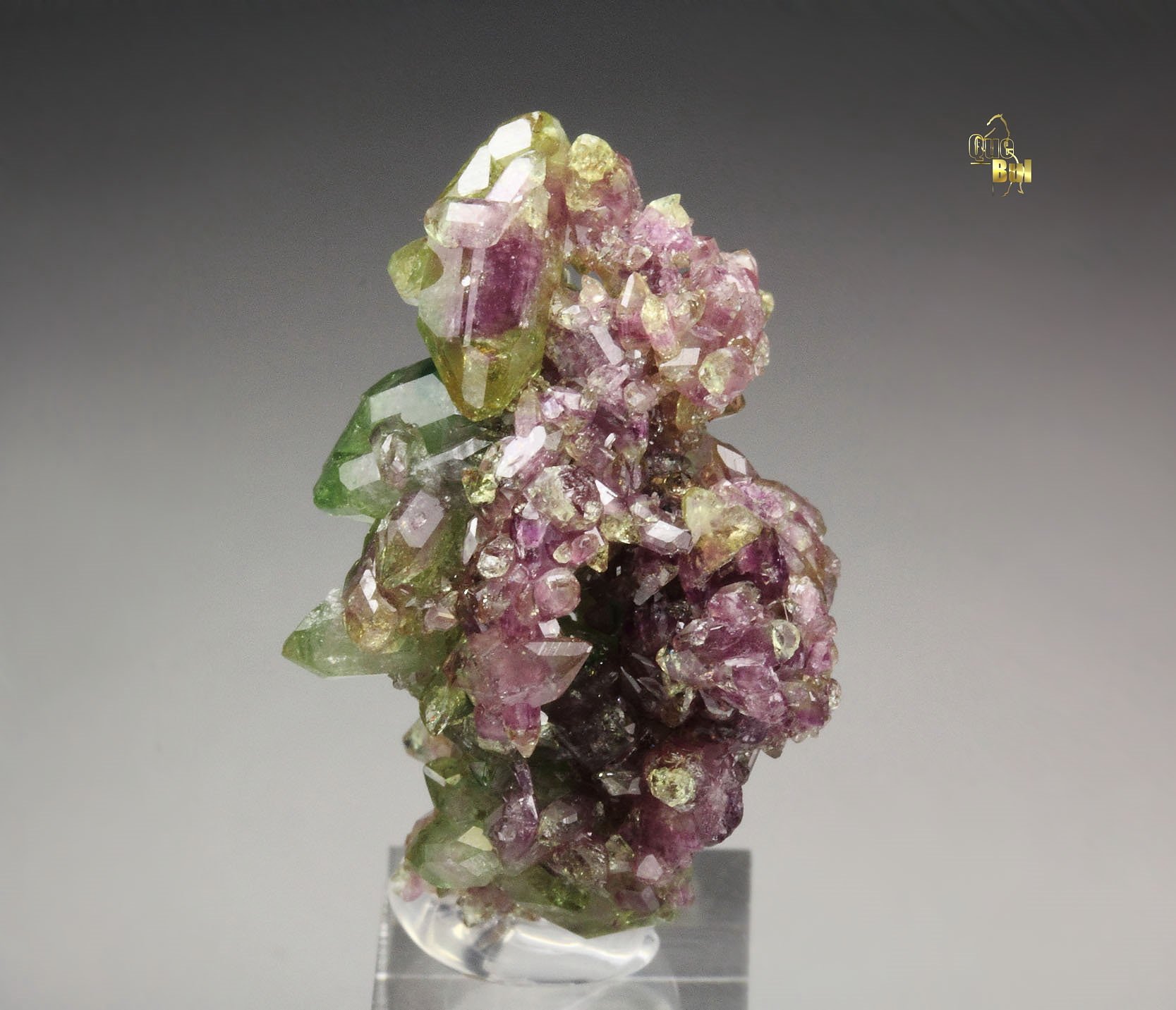 gemmy bi-terminated VESUVIANITE multicolor