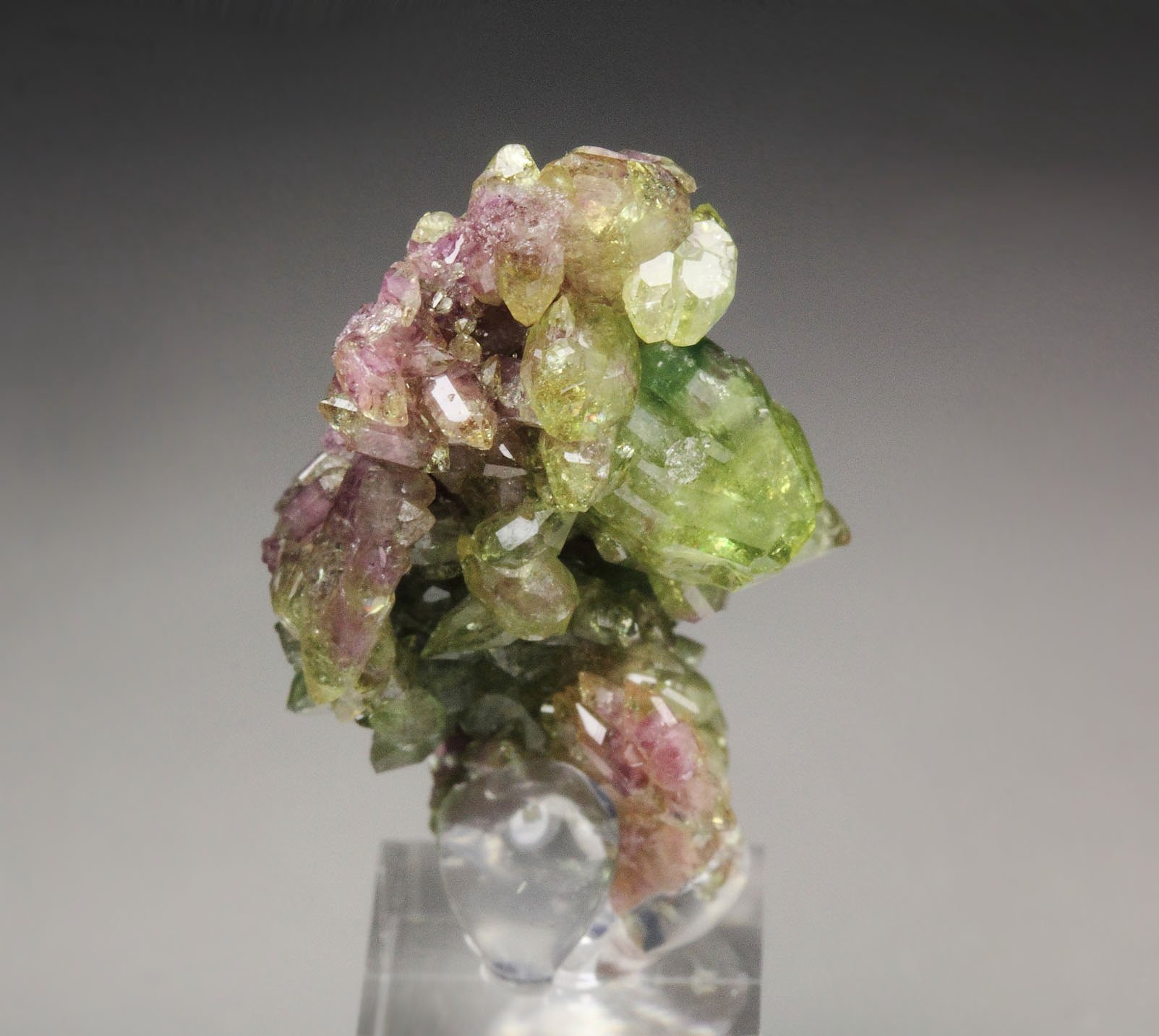 gemmy bi-terminated VESUVIANITE multicolor