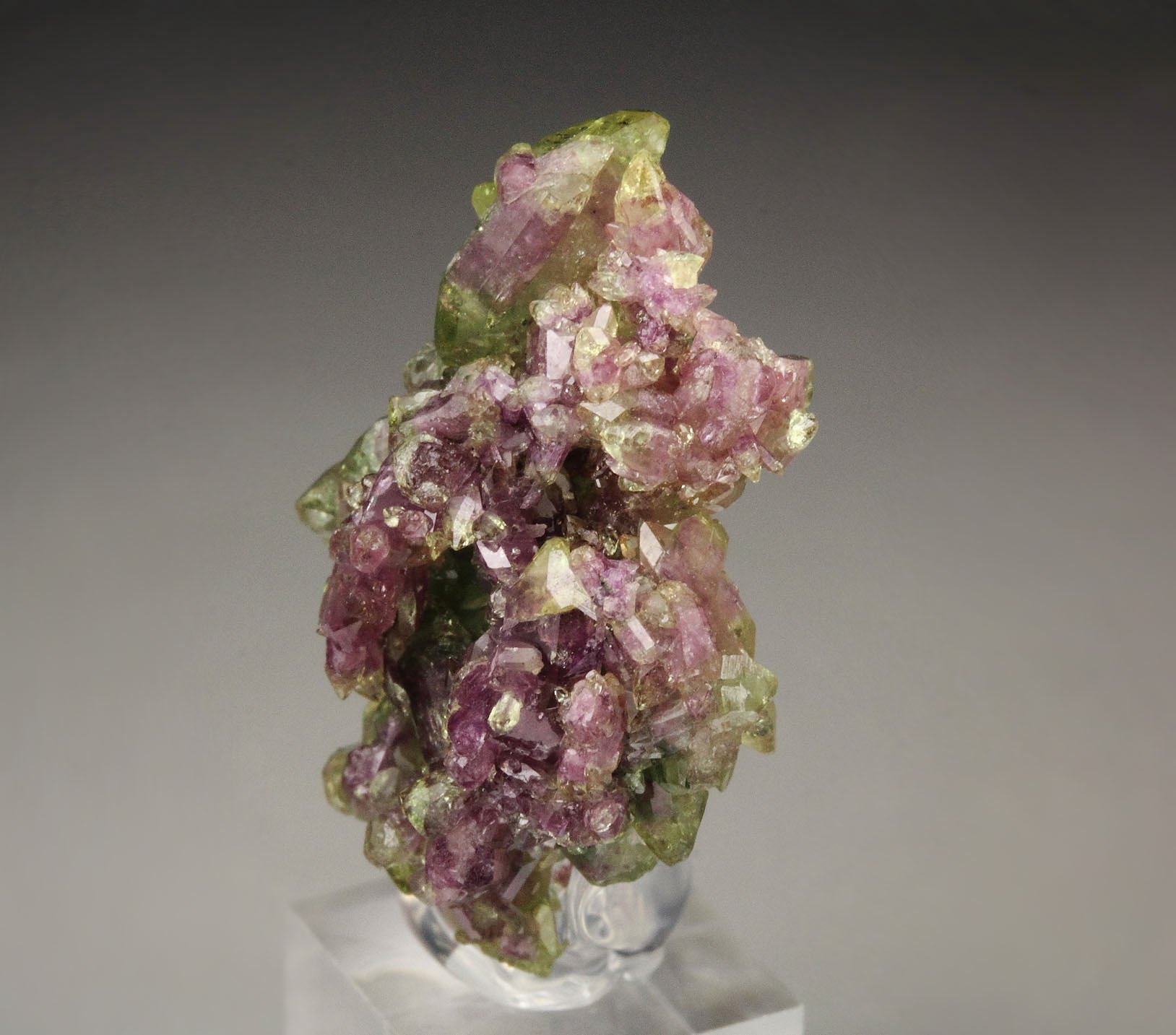 gemmy bi-terminated VESUVIANITE multicolor