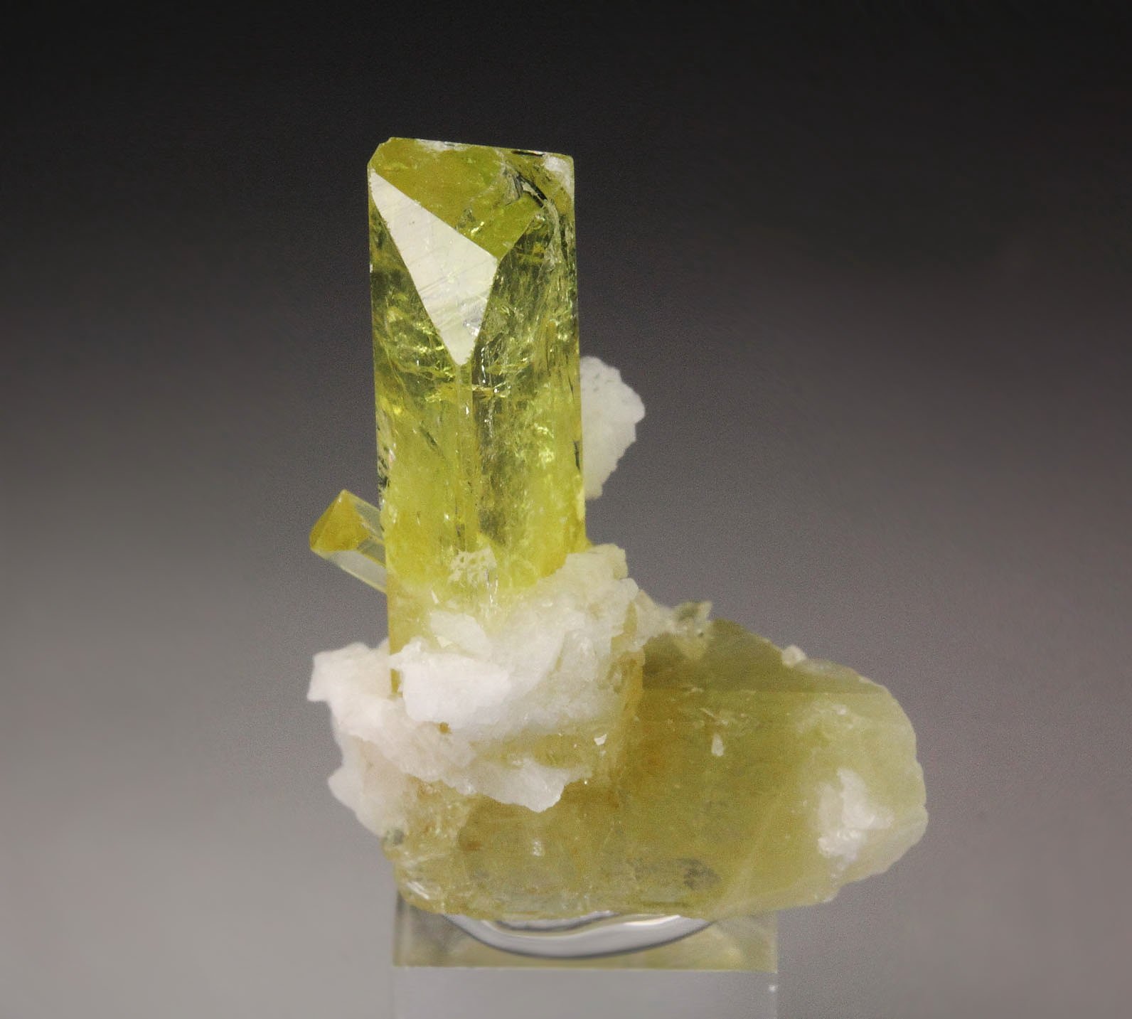 gem BRAZILIANITE, ALBITE