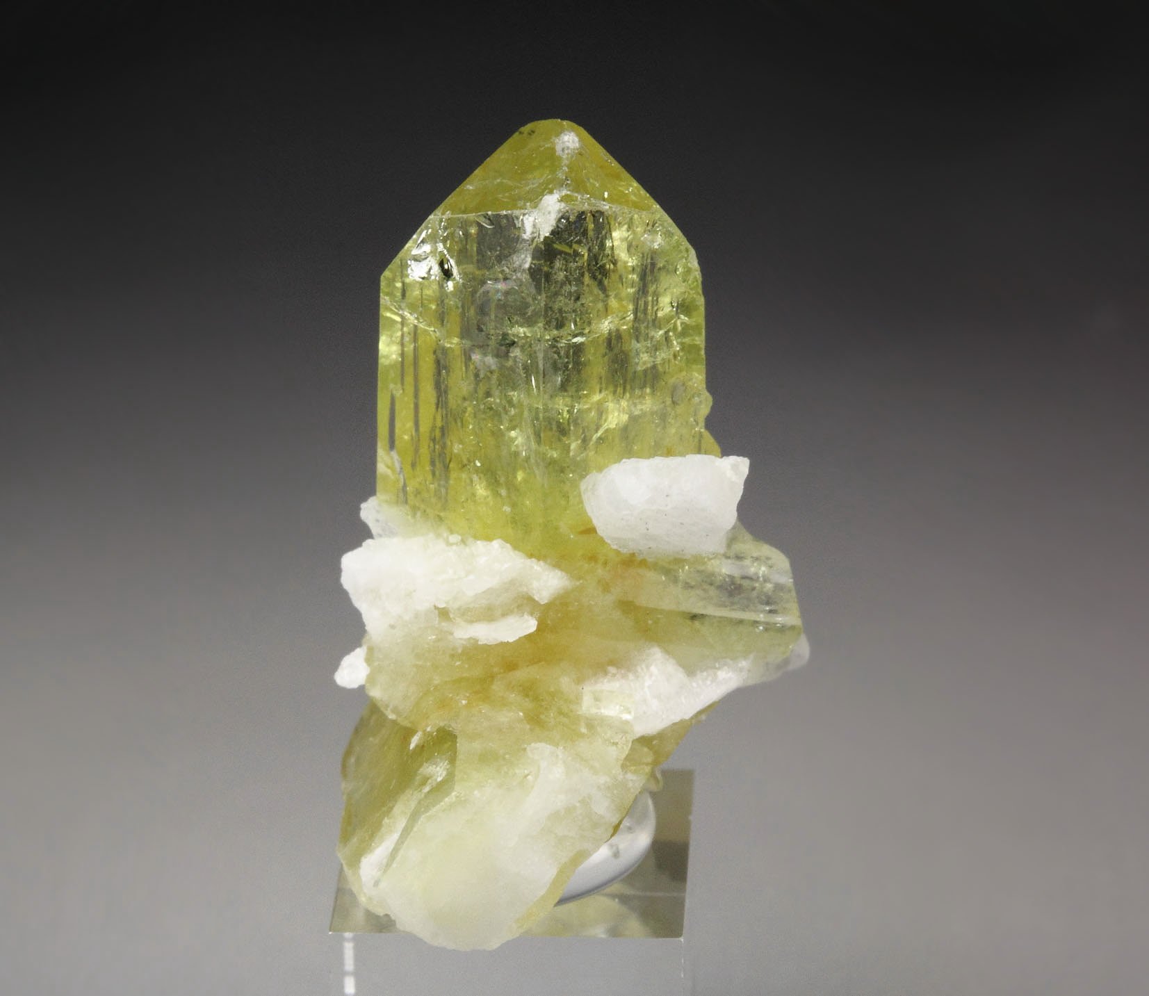 gem BRAZILIANITE, ALBITE