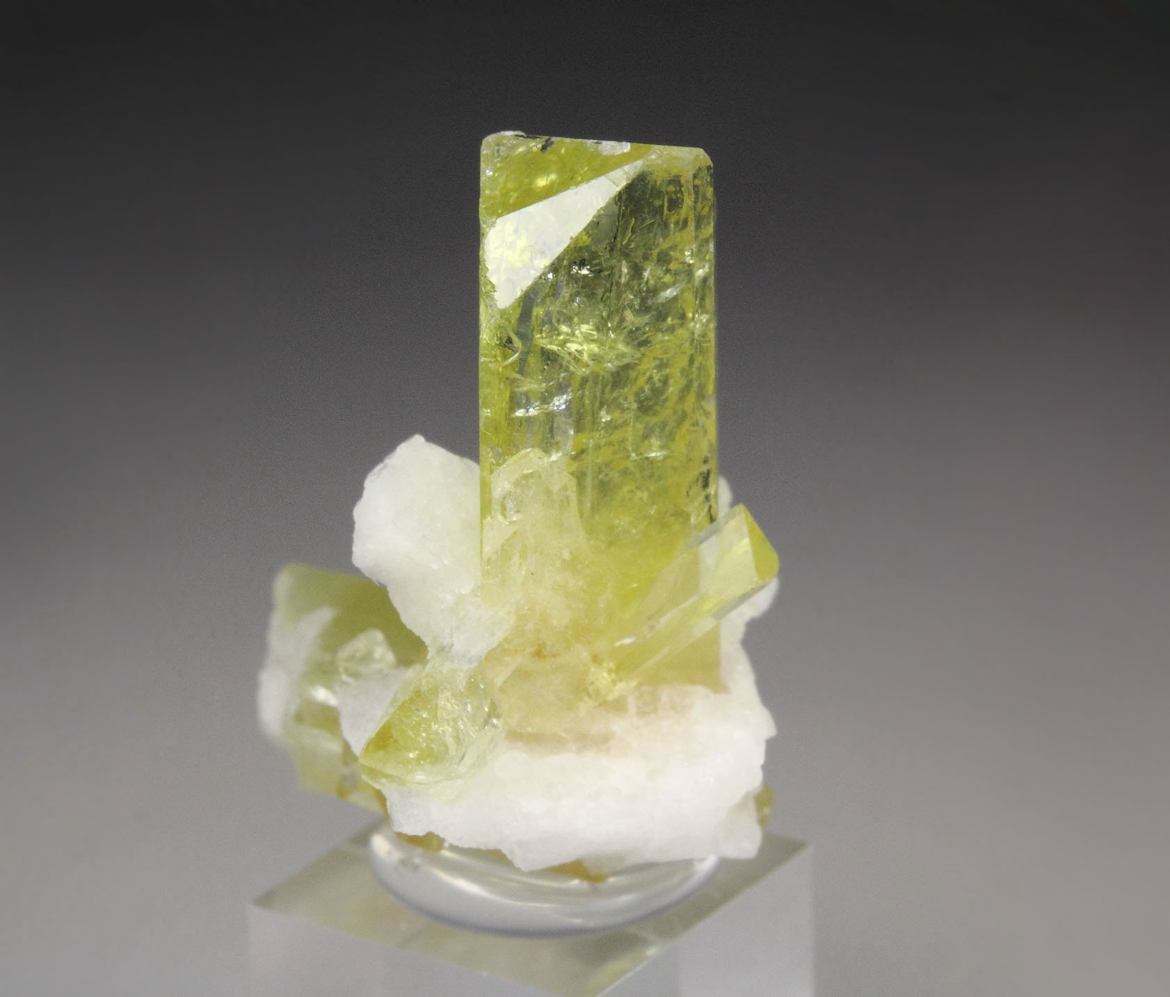 gem BRAZILIANITE, ALBITE