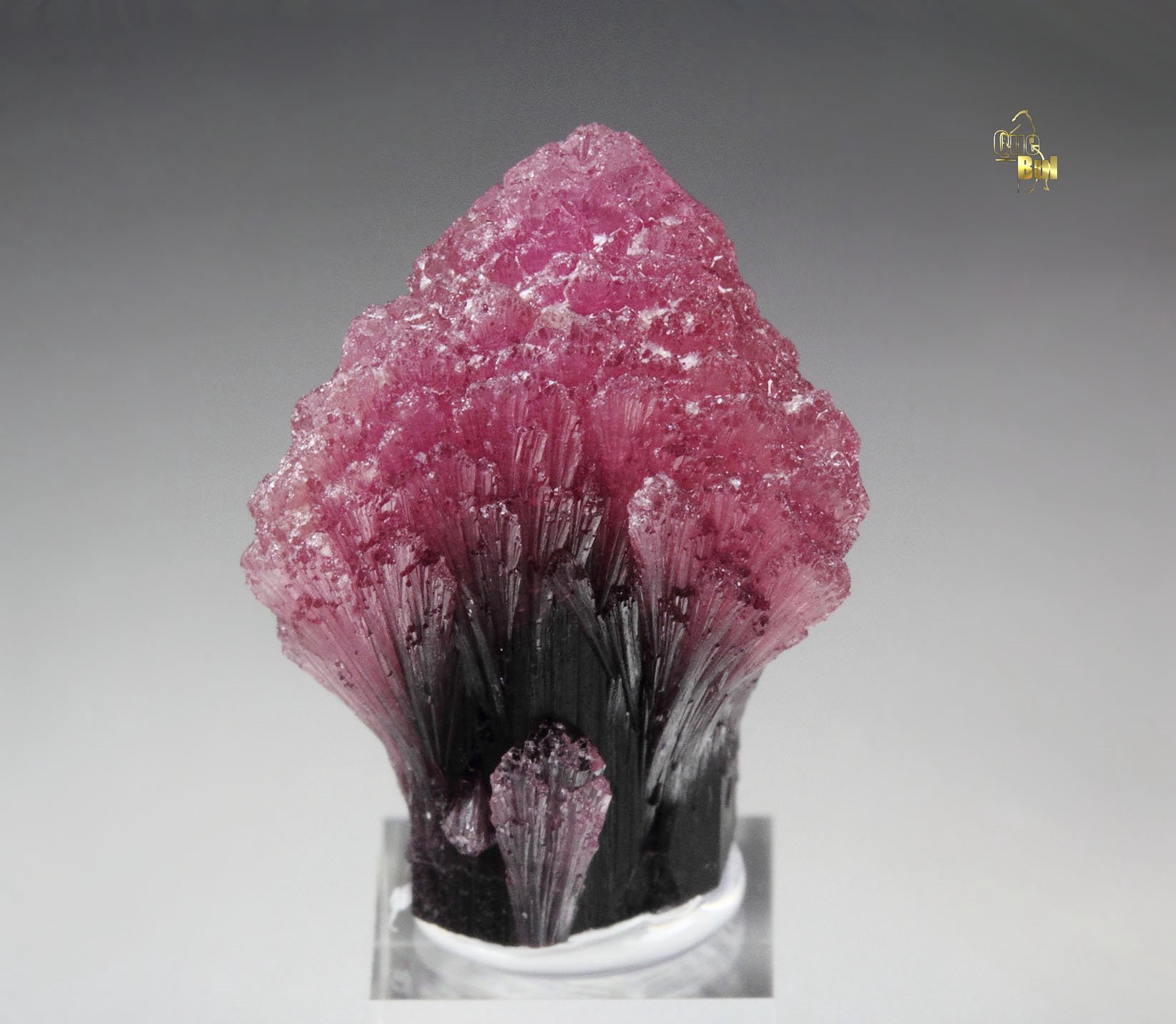 TOURMALINE var. RUBELLITE