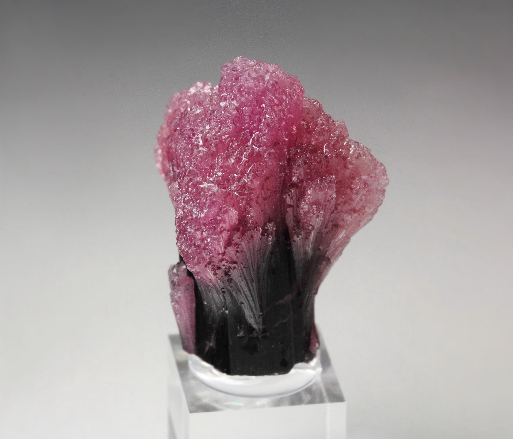 TOURMALINE var. RUBELLITE