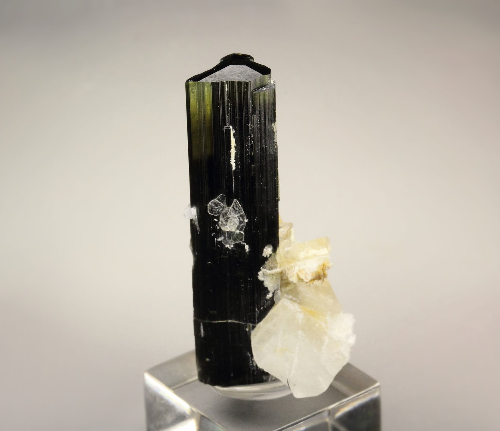 TOURMALINE var. ELBAITE, MUSCOVITE, ALBITE