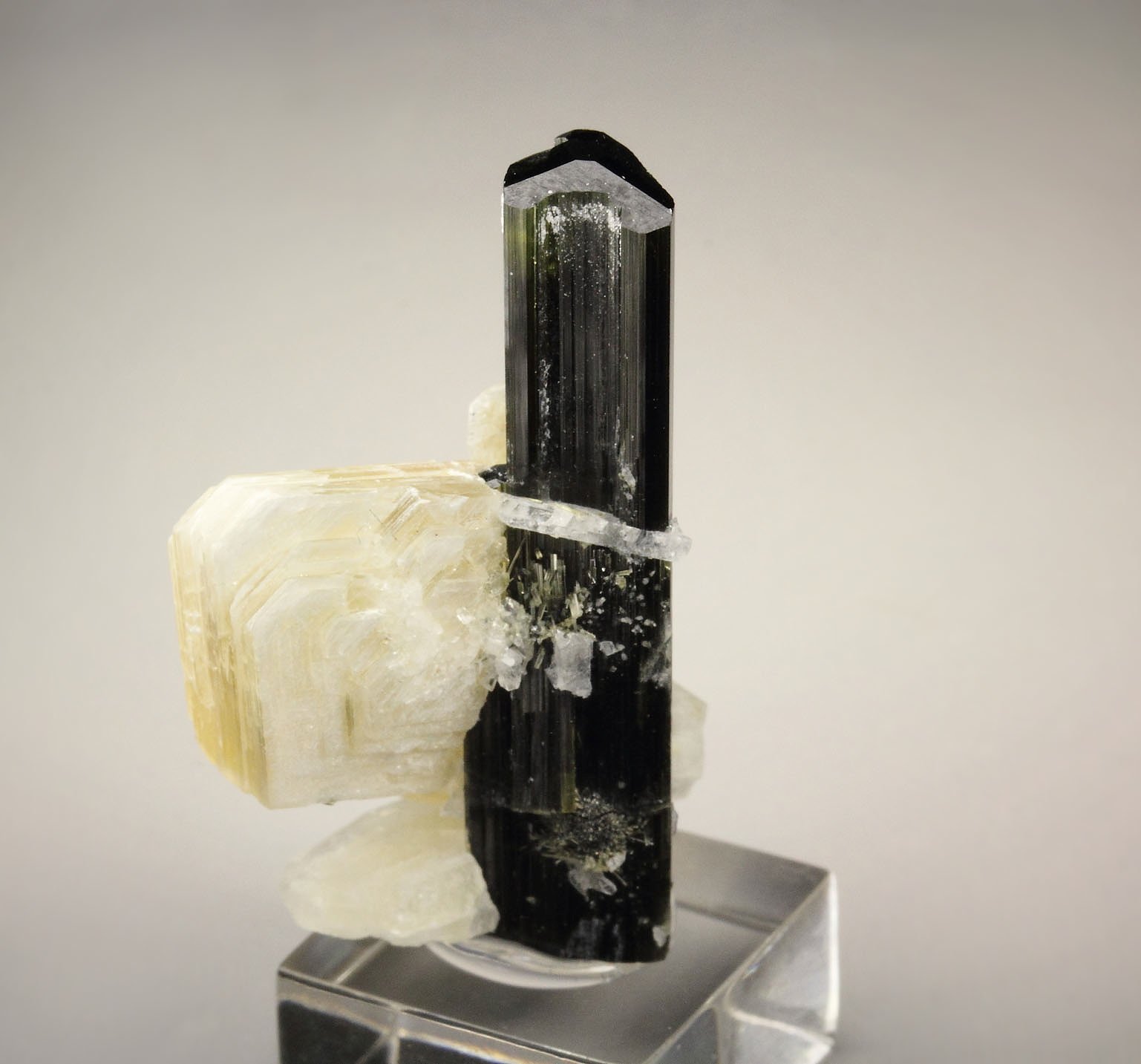 TOURMALINE var. ELBAITE, MUSCOVITE, ALBITE