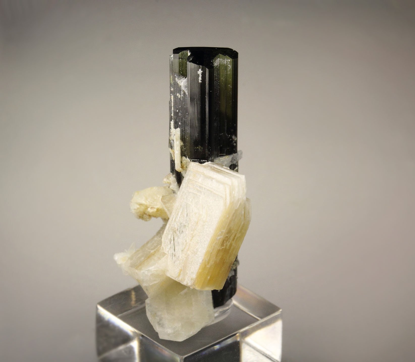 TOURMALINE var. ELBAITE, MUSCOVITE, ALBITE