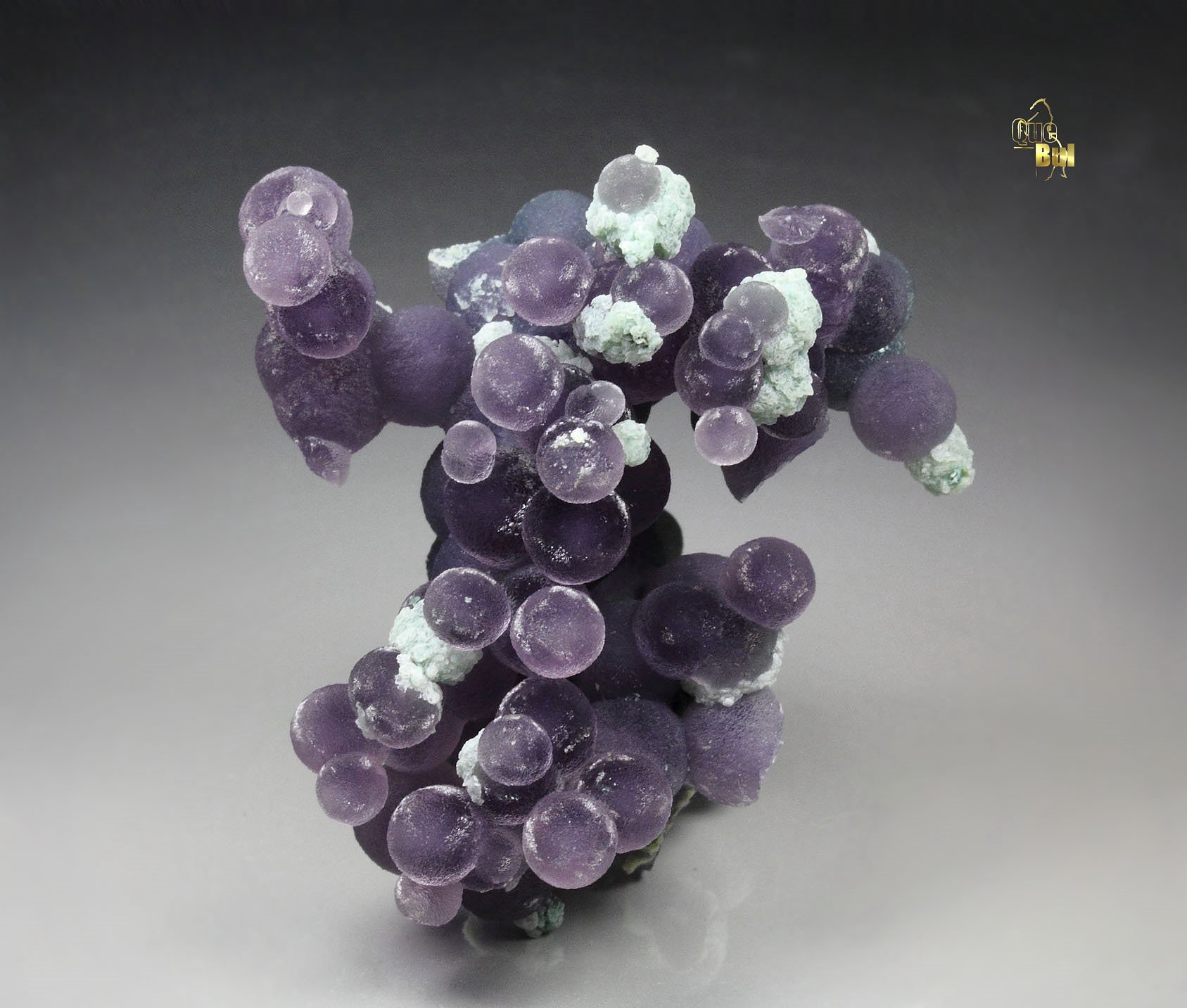 QUARTZ var. AMETHYST - grape agate