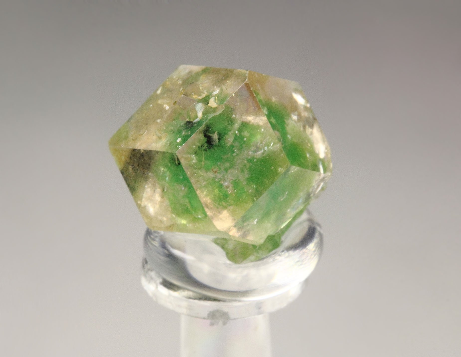 gem GARNET var. GROSSULAR with GREEN CHROMIAN PHANTOMS