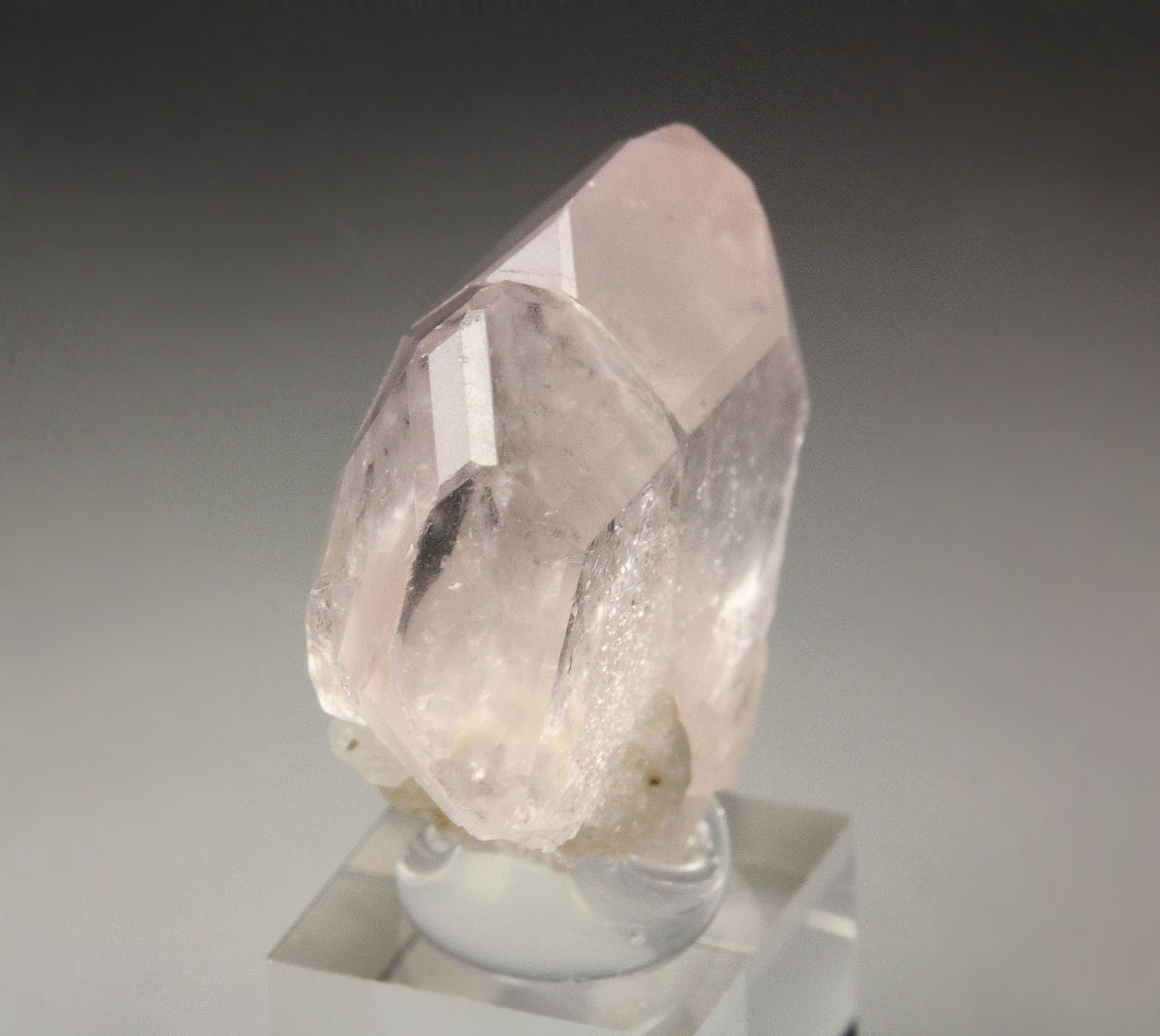 gem BERYL var. MORGANITE