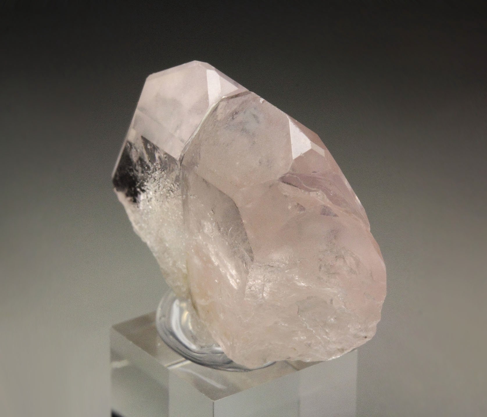 gem BERYL var. MORGANITE