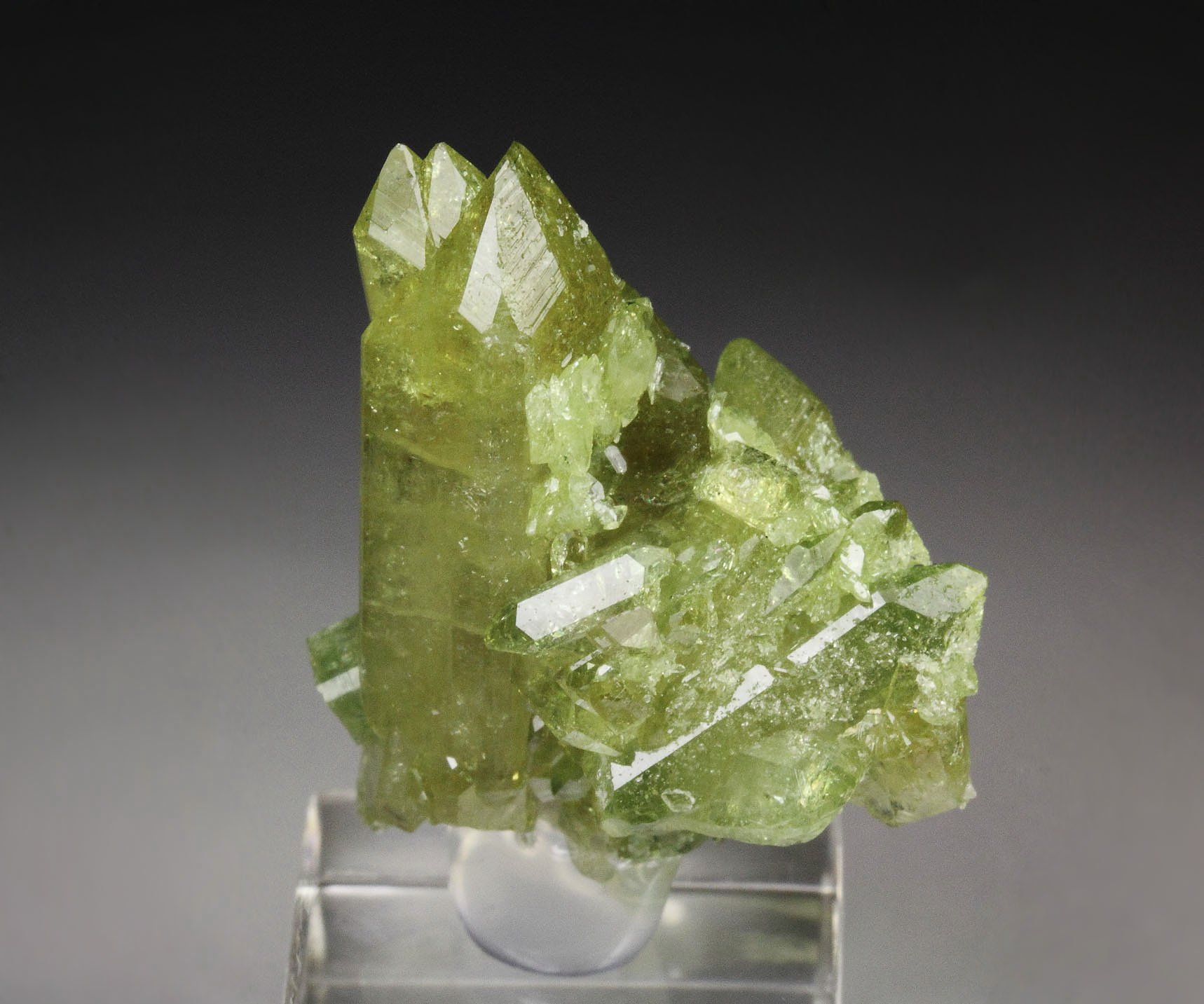 gemmy VESUVIANITE