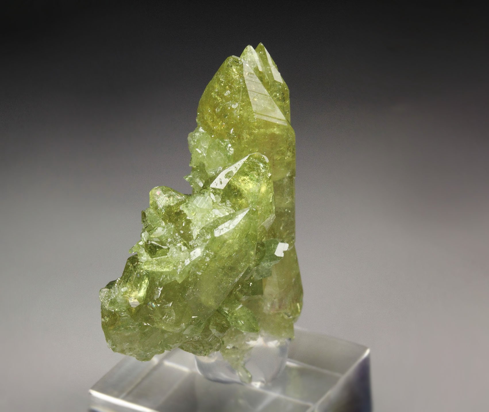 gemmy VESUVIANITE